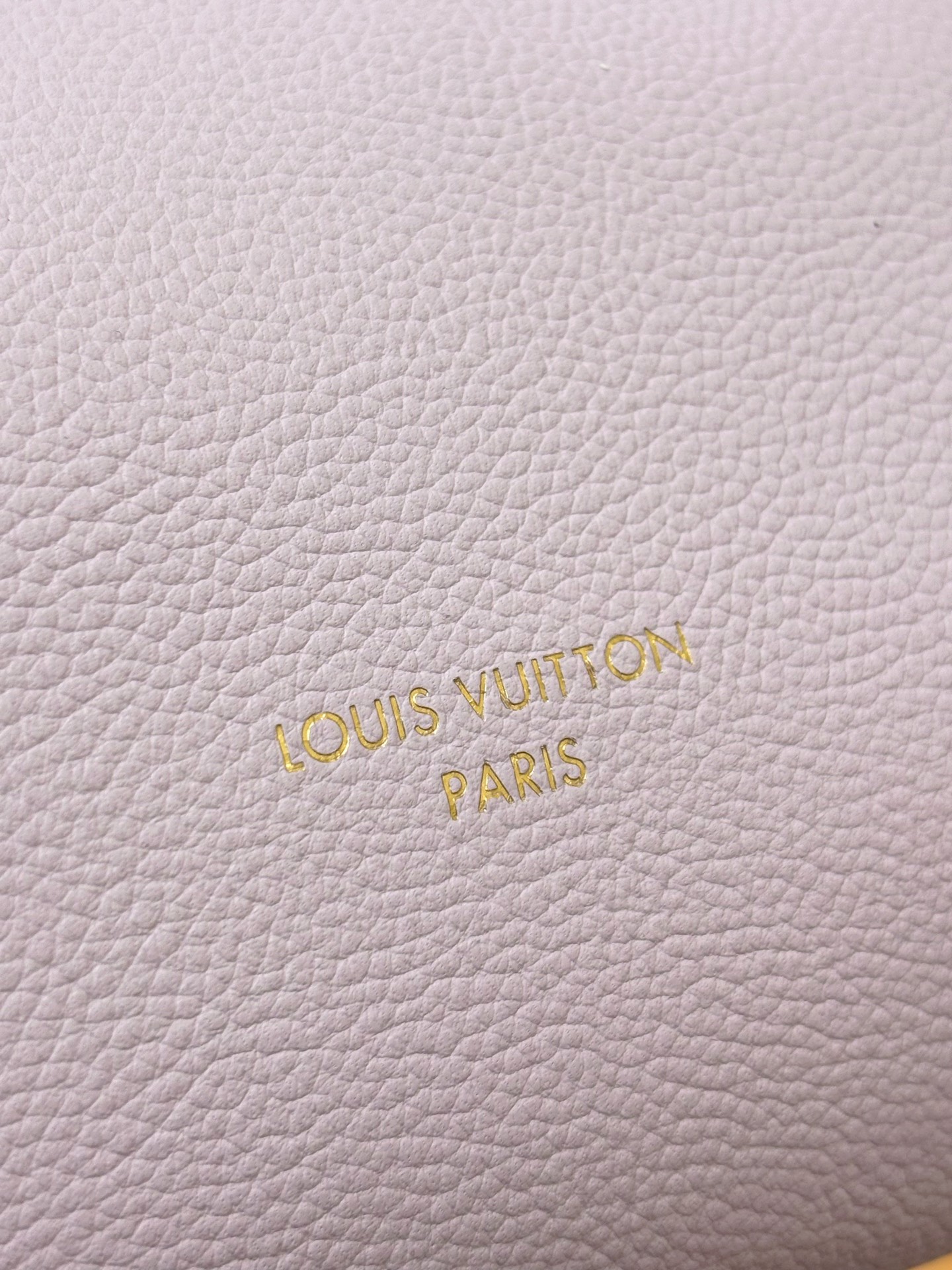 Louis Vuitton Basic Bag Cow Leather M-s