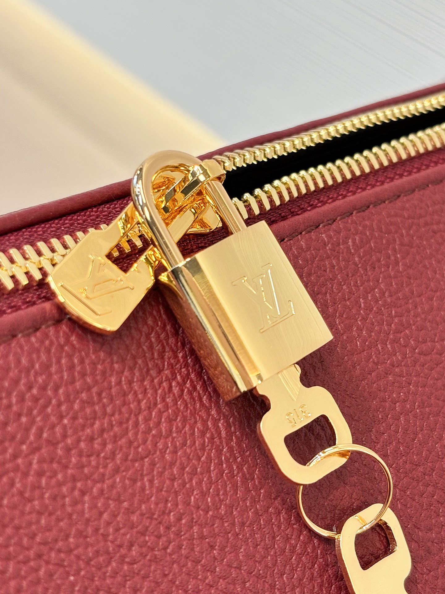 Louis Vuitton Basic Bag Cow Leather M-s