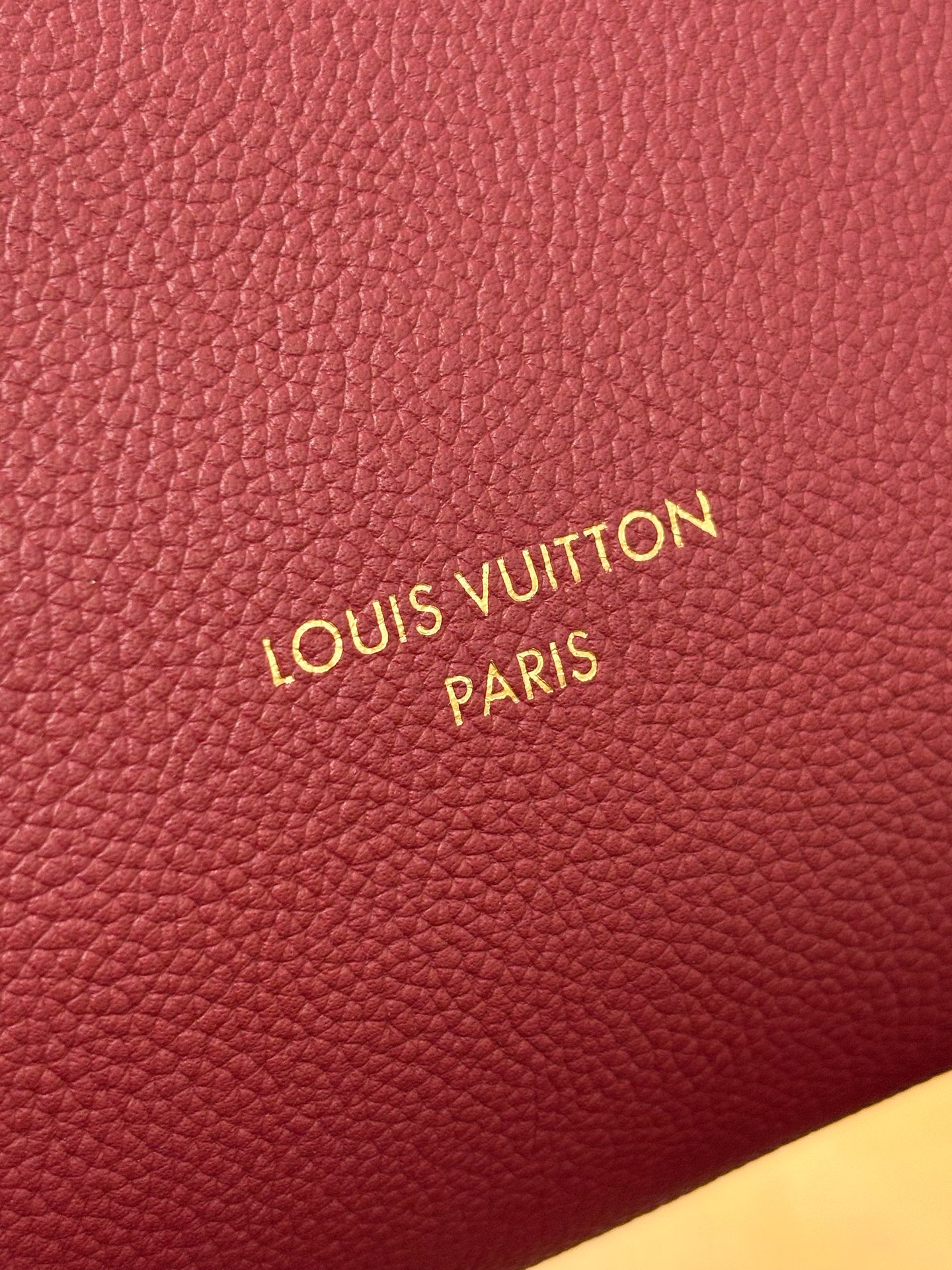 Louis Vuitton Basic Bag Cow Leather M-s