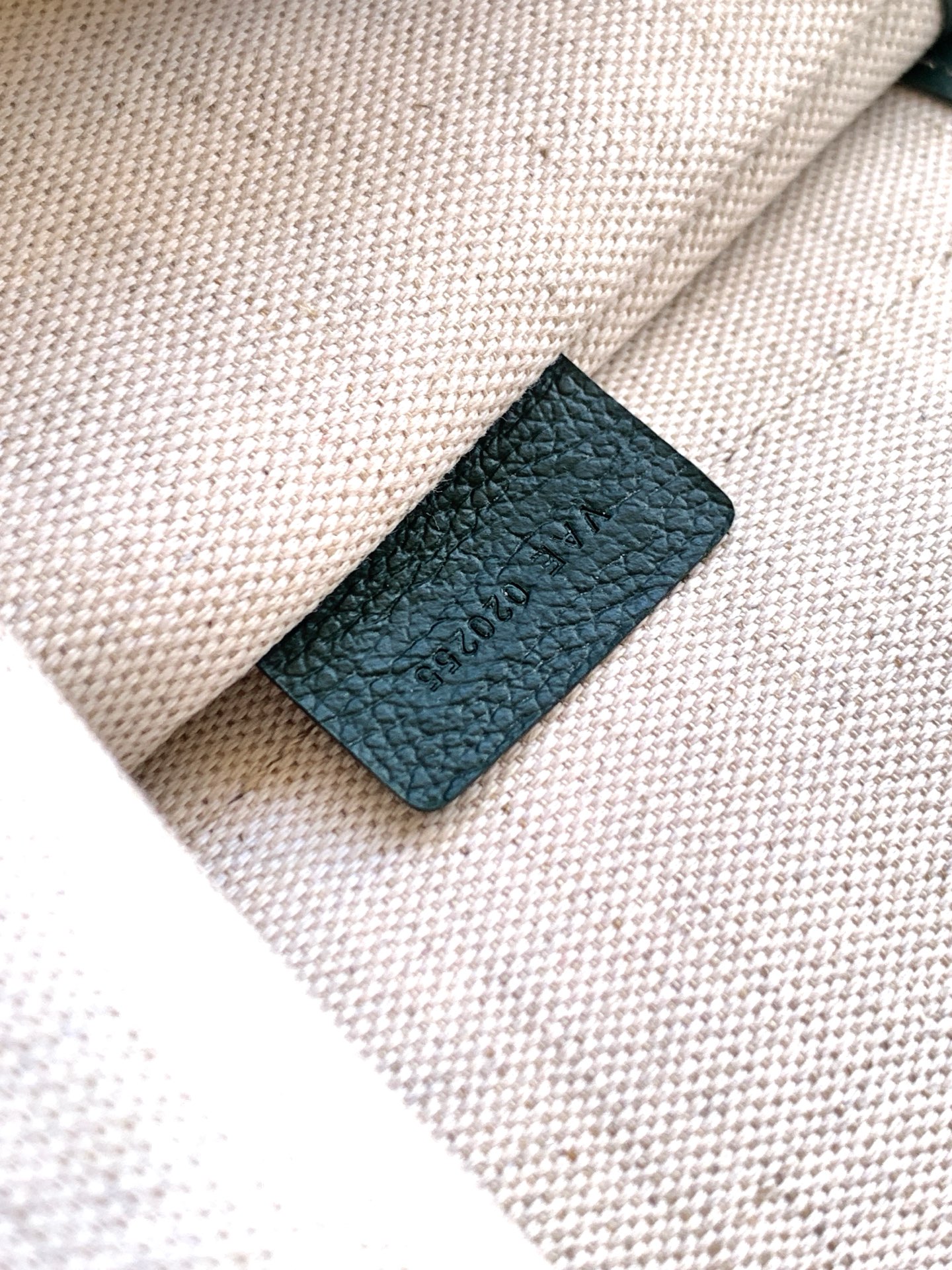 Goyard Tote Bag Canvas Green M-l