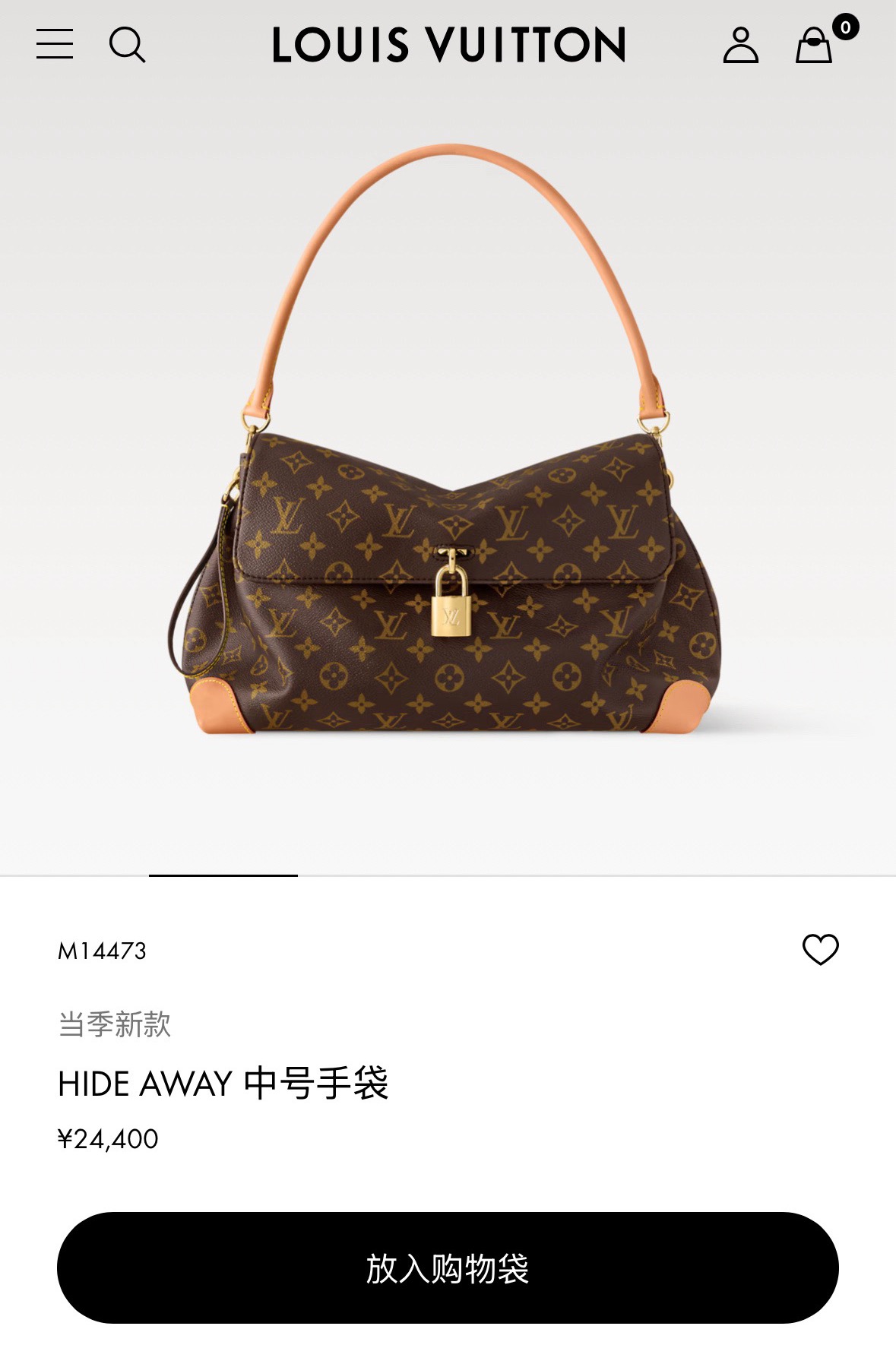 Louis Vuitton Basic Bag Canvas M