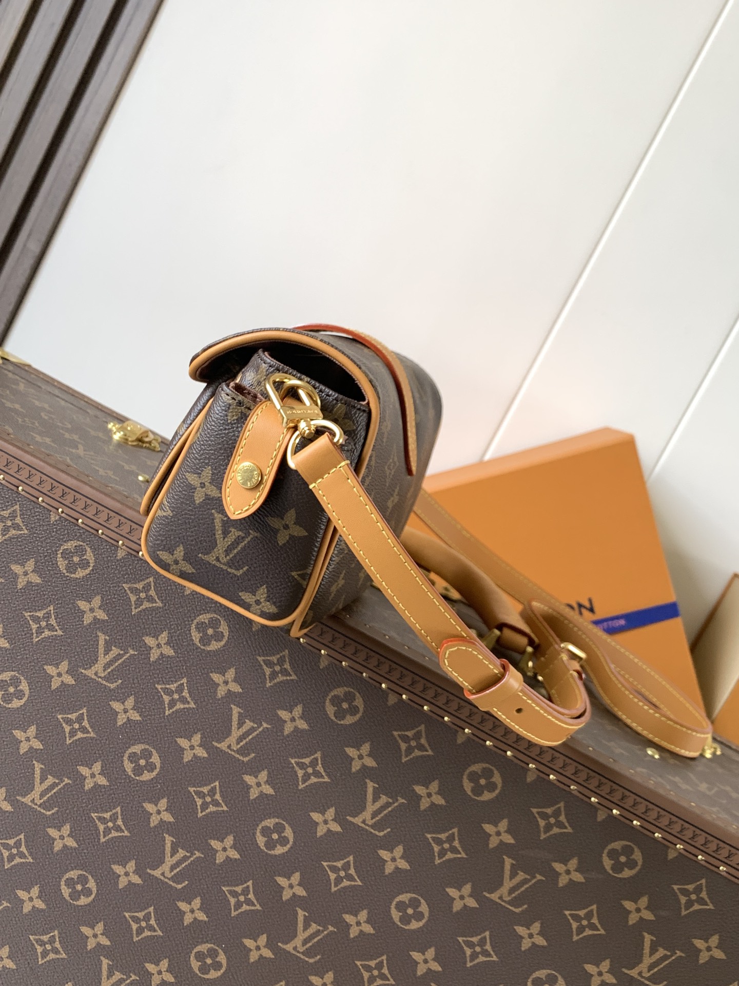 Louis Vuitton Basic Bag Cow Leather M