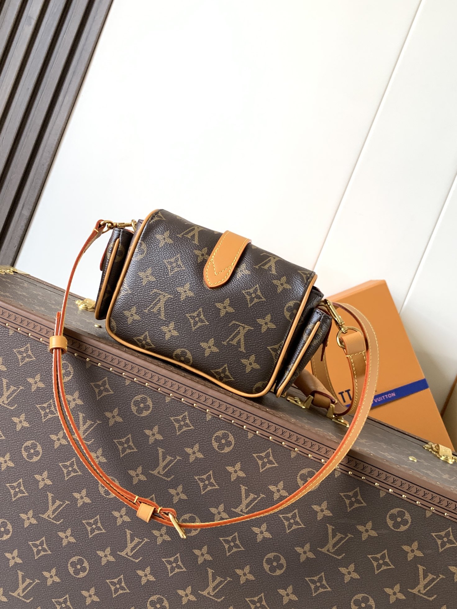 Louis Vuitton Basic Bag Cow Leather M