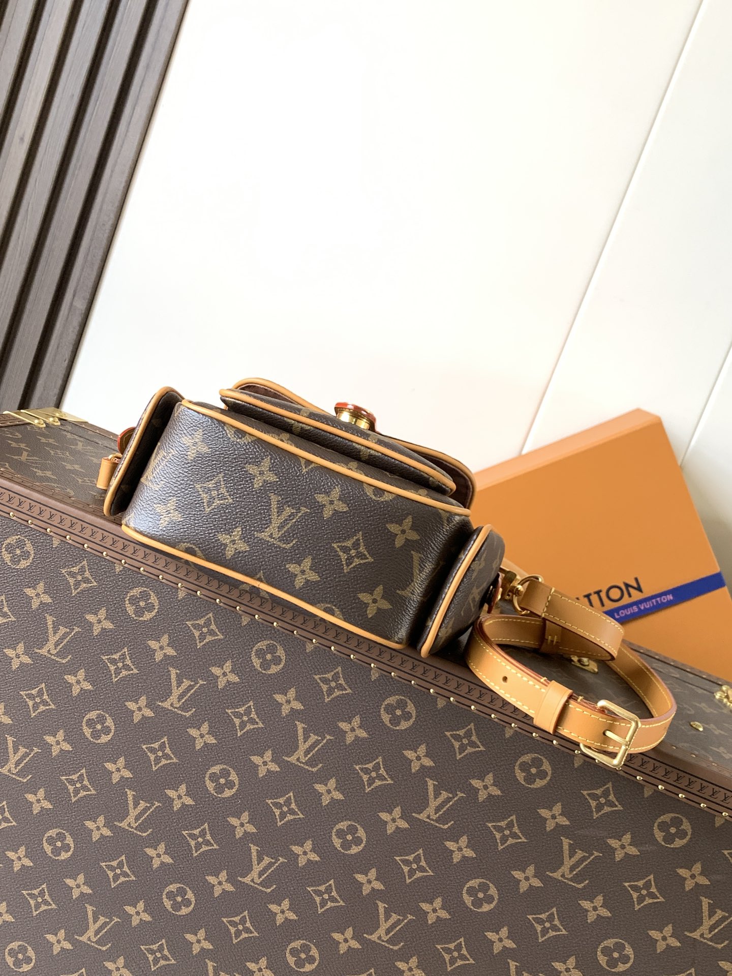 Louis Vuitton Basic Bag Cow Leather M