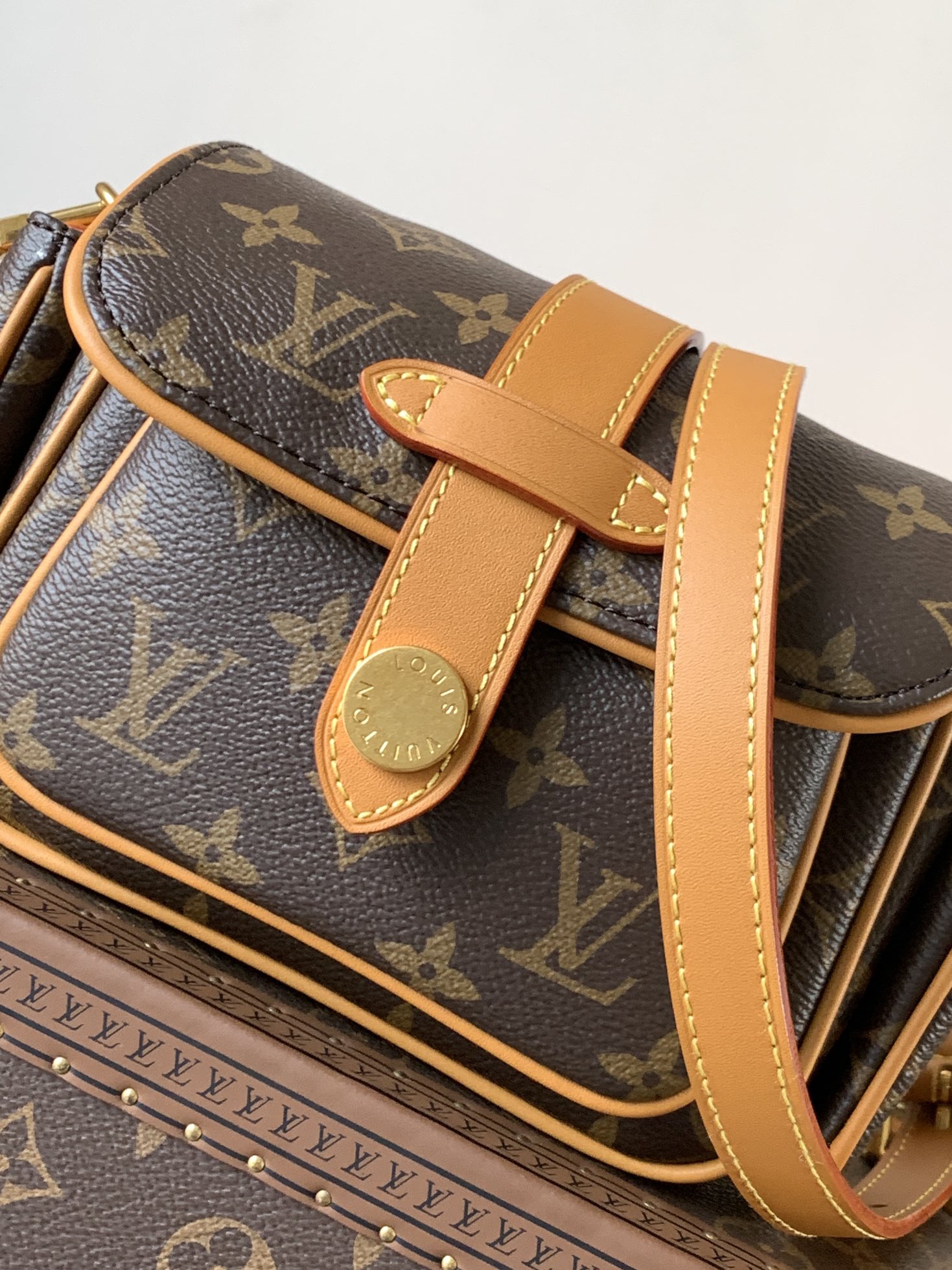 Louis Vuitton Basic Bag Cow Leather M