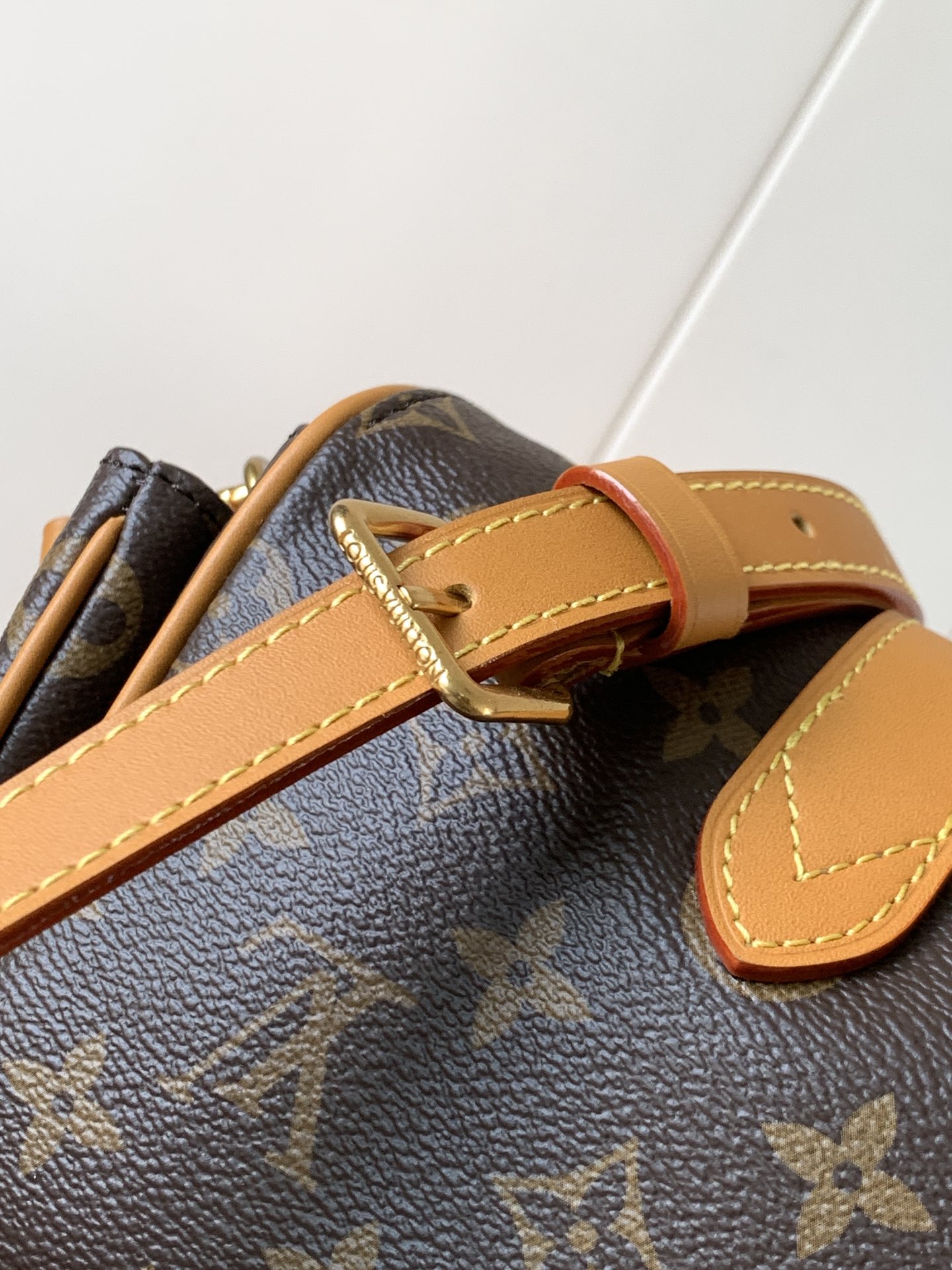 Louis Vuitton Basic Bag Cow Leather M