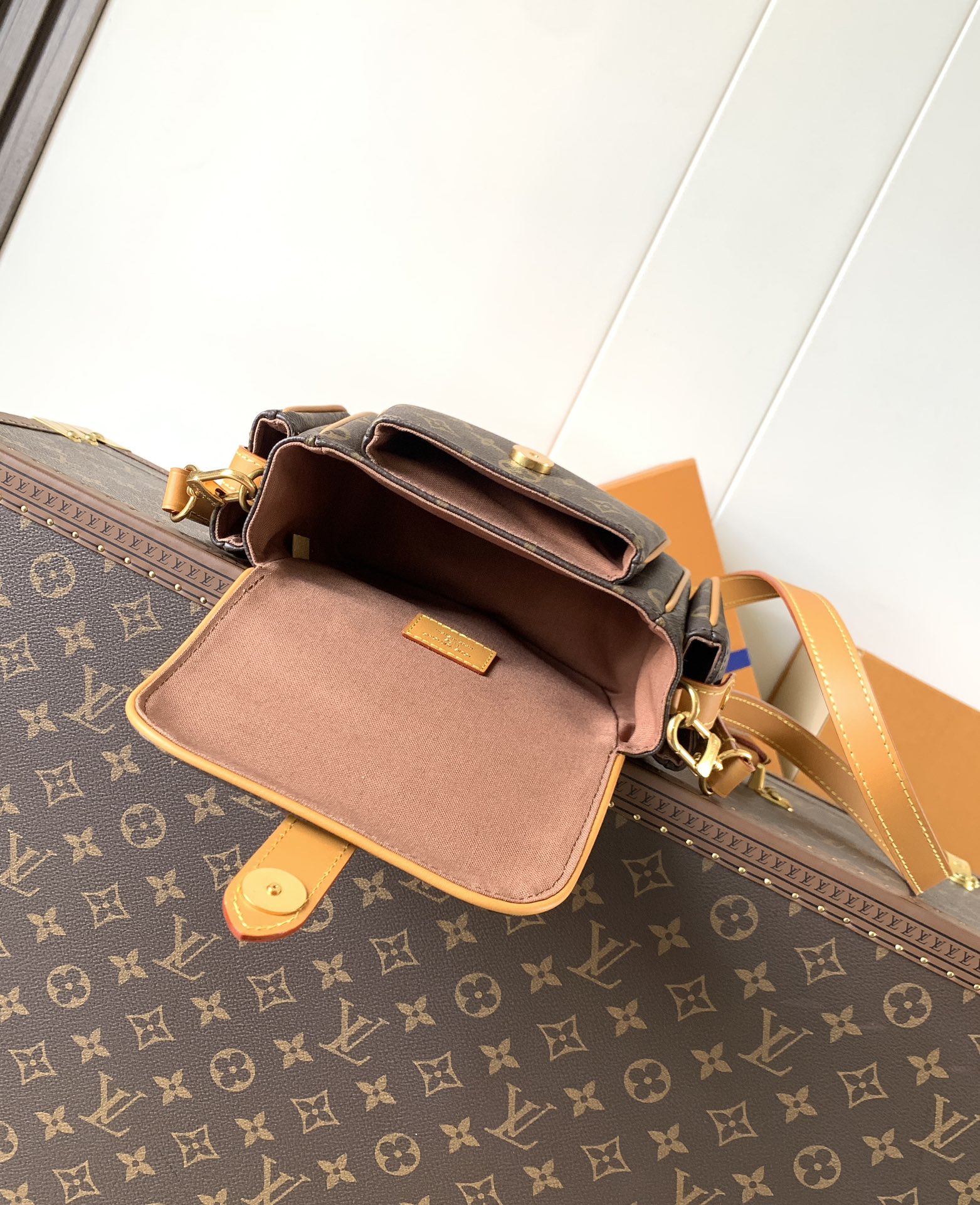 Louis Vuitton Basic Bag Cow Leather M