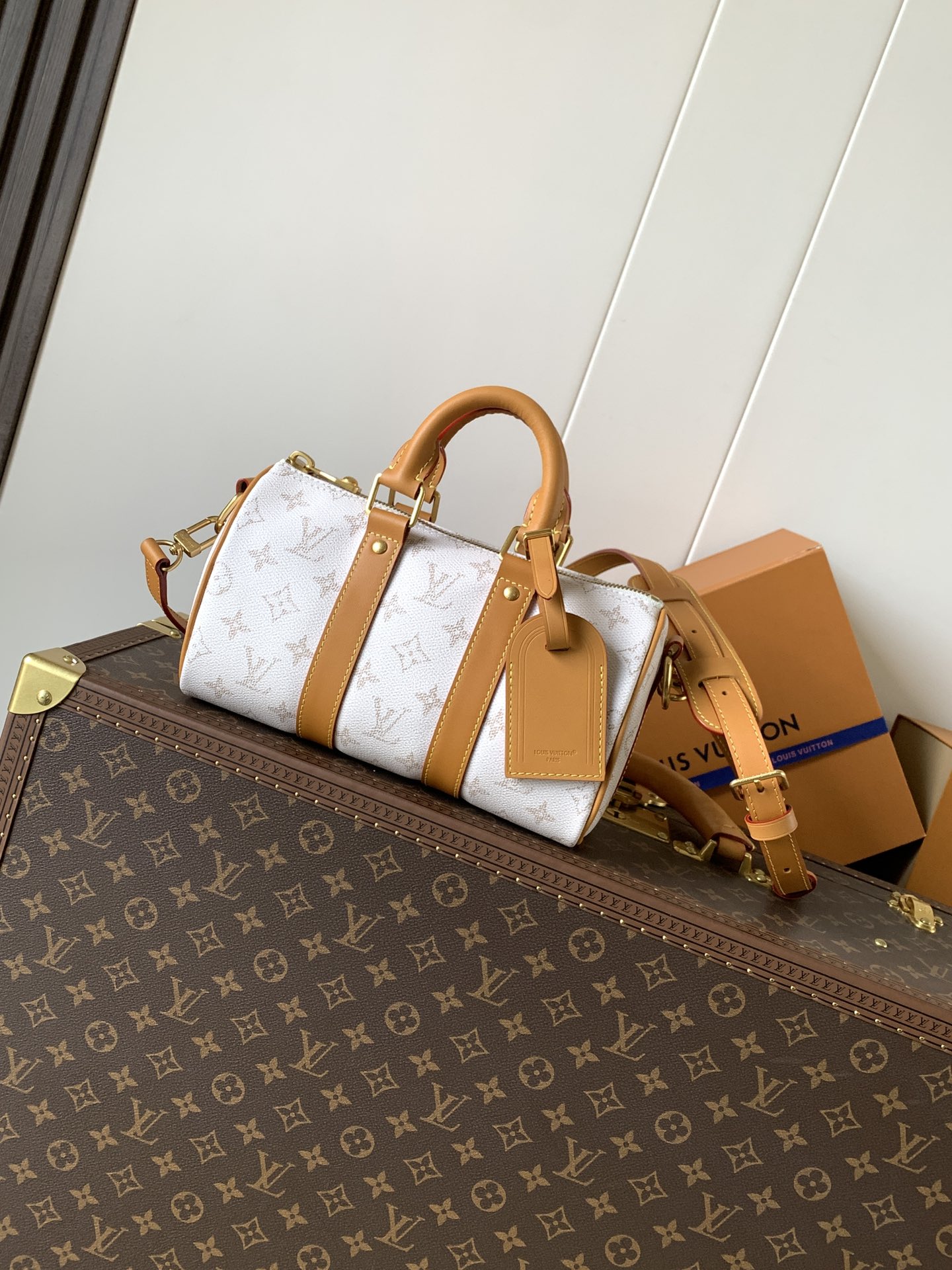 Louis Vuitton Basic Bag Cow Leather White 25cm-m-l