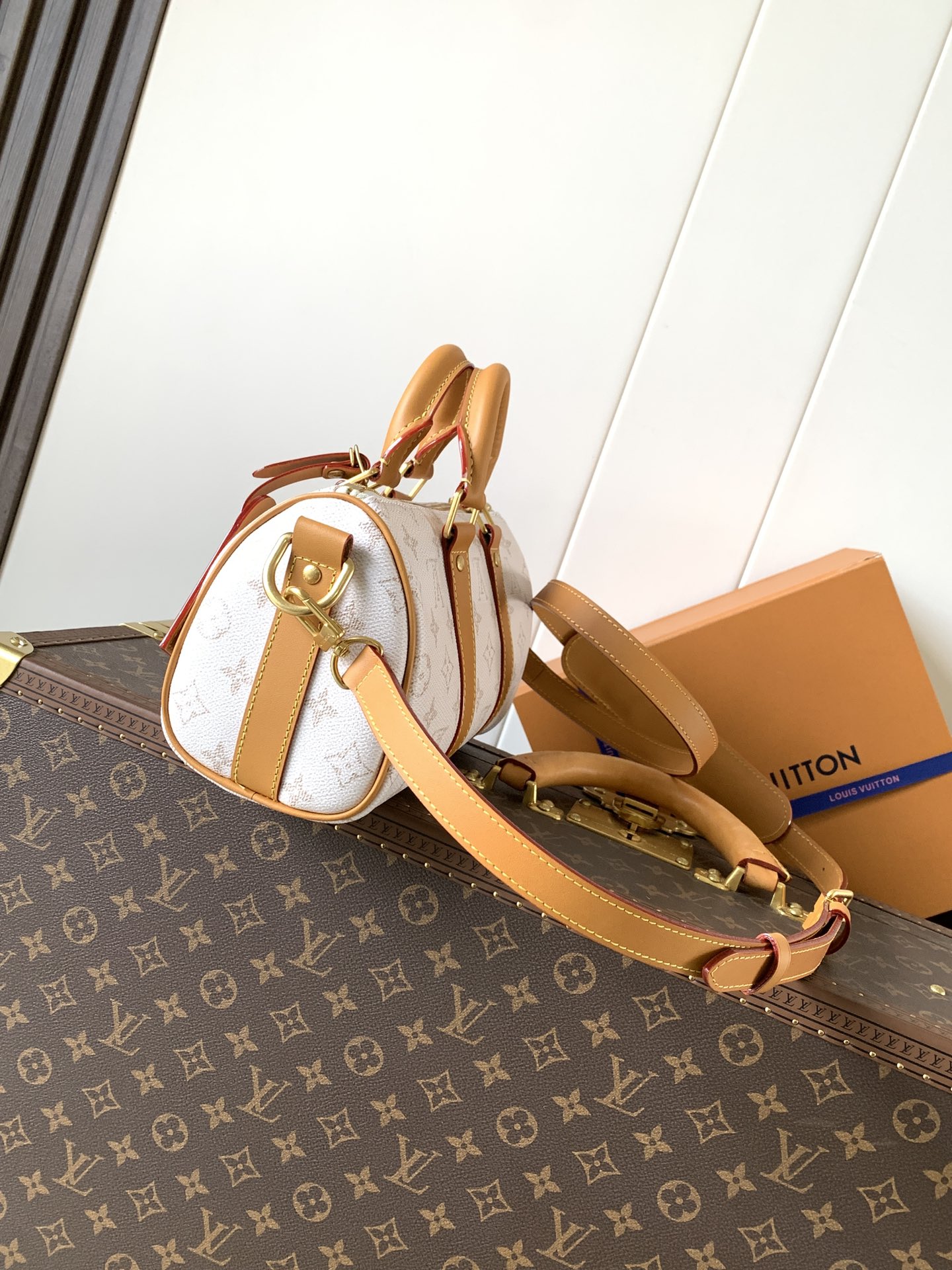 Louis Vuitton Basic Bag Cow Leather White 25cm-m-l