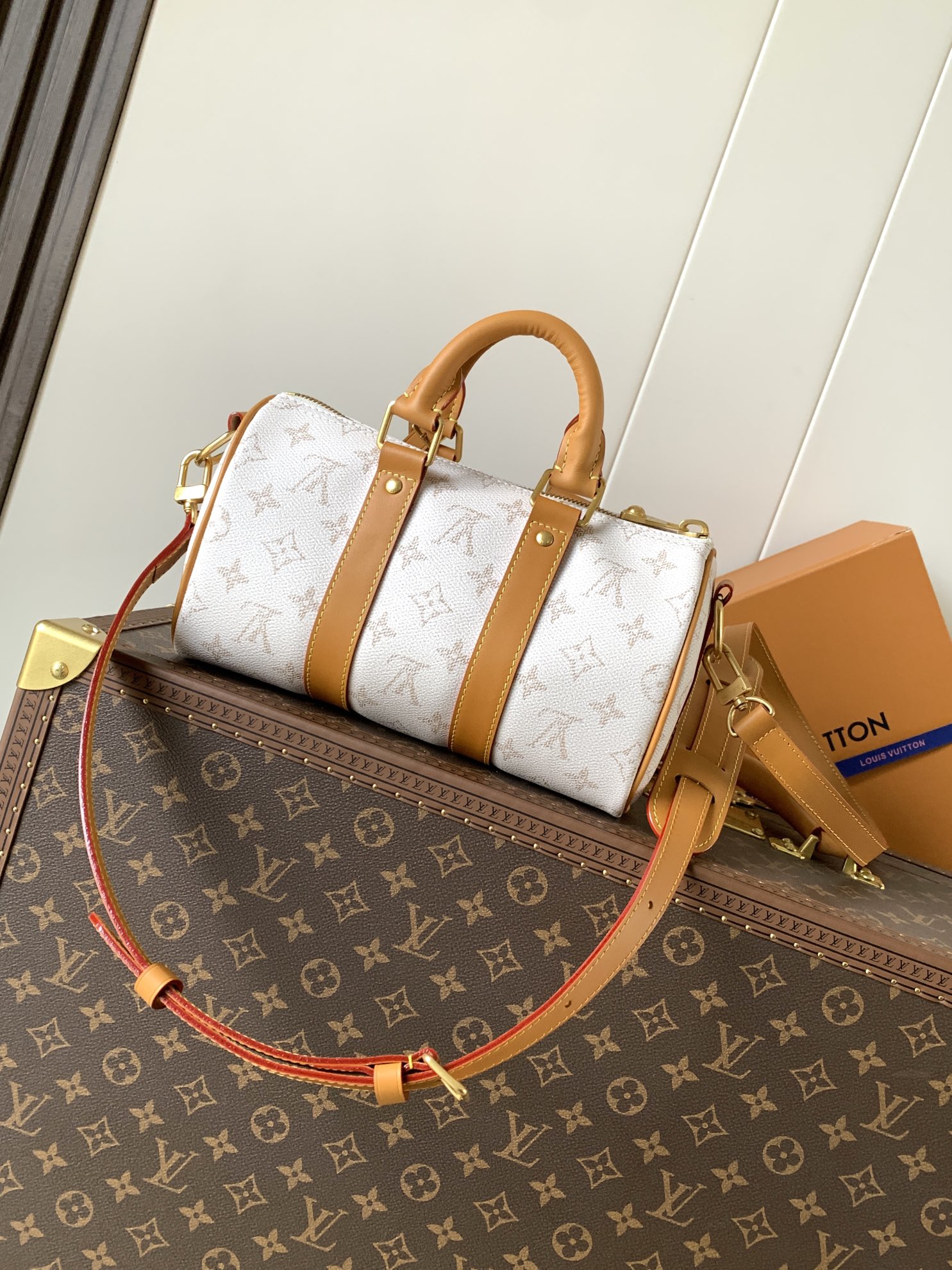 Louis Vuitton Basic Bag Cow Leather White 25cm-m-l