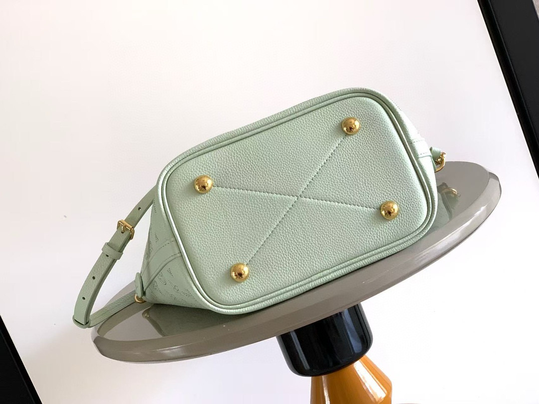 Louis Vuitton Basic Bag Cow Leather M-l-s