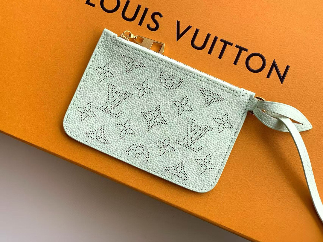 Louis Vuitton Basic Bag Cow Leather M-l-s
