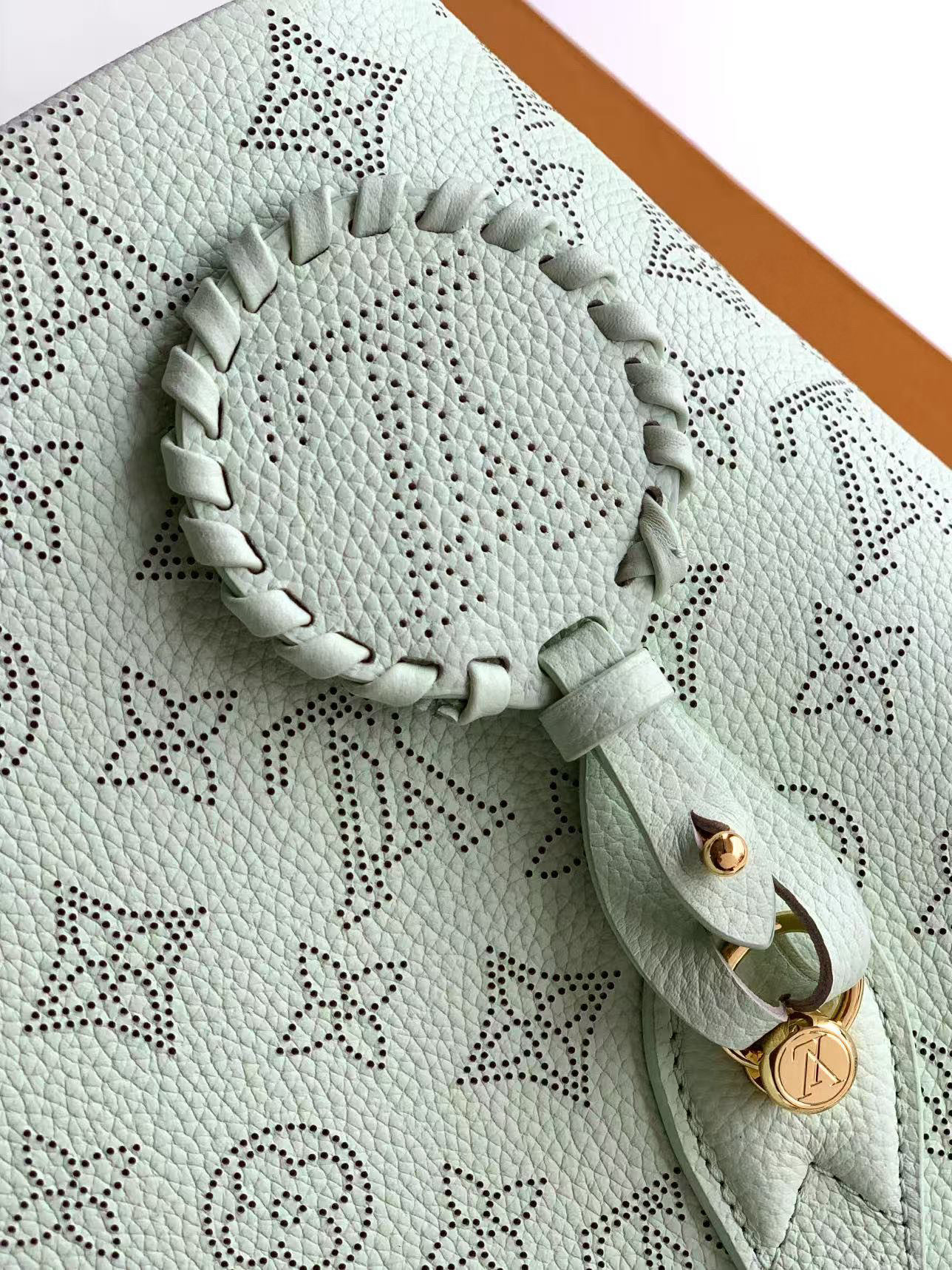 Louis Vuitton Basic Bag Cow Leather M-l-s