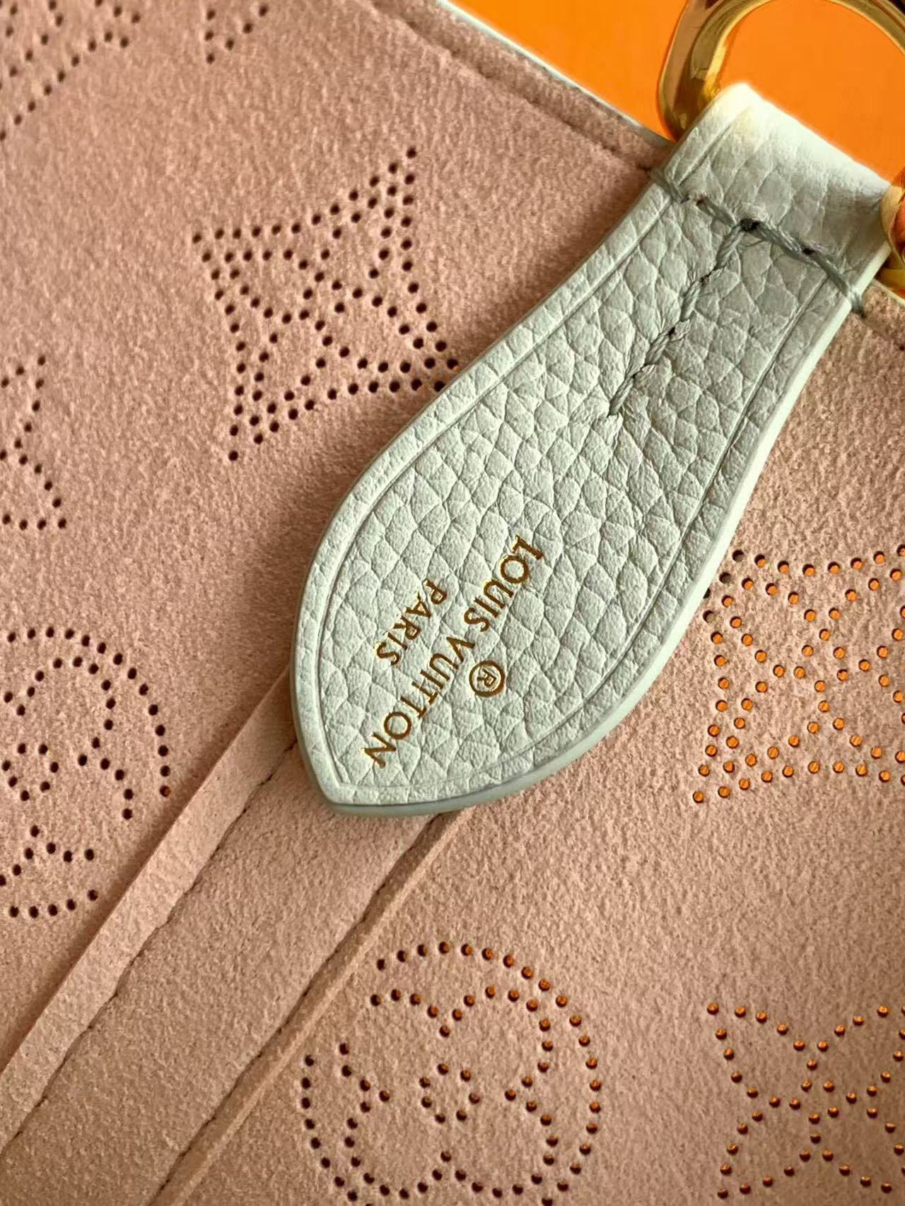 Louis Vuitton Basic Bag Cow Leather M-l-s