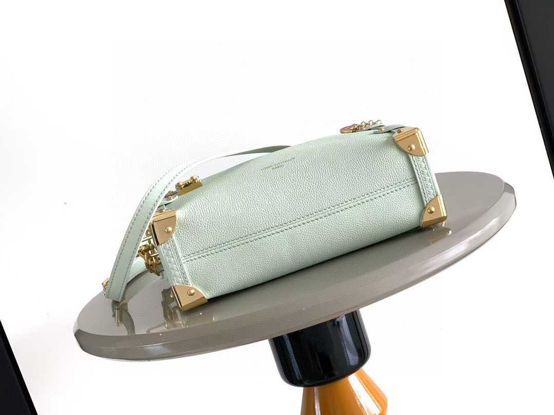 Louis Vuitton Basic Bag Cow Leather M-l-s