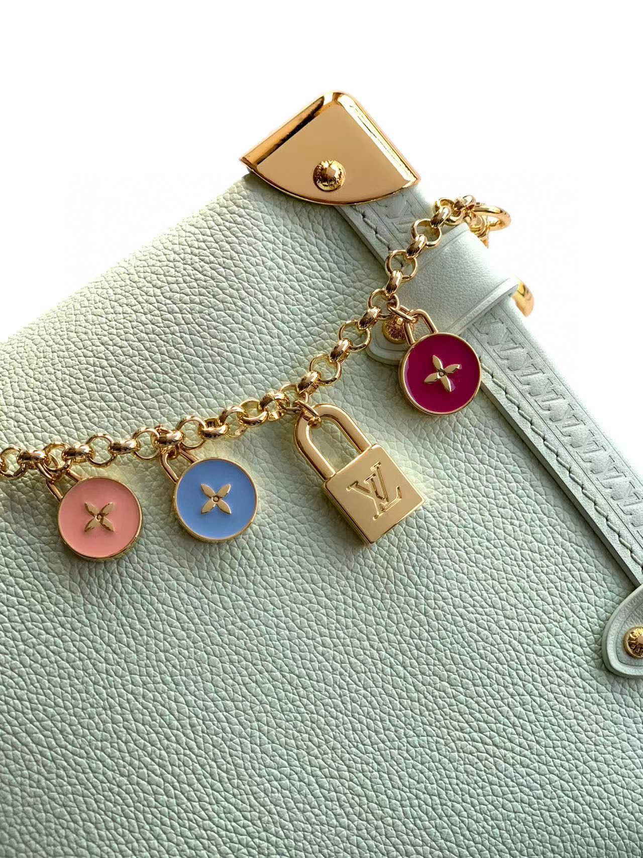 Louis Vuitton Basic Bag Cow Leather M-l-s