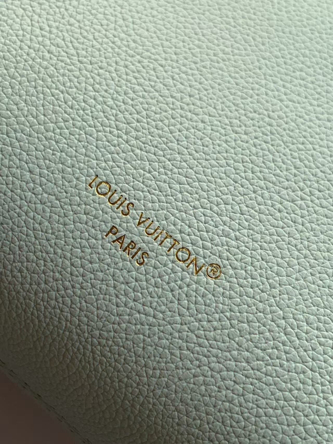 Louis Vuitton Basic Bag Cow Leather M-l-s