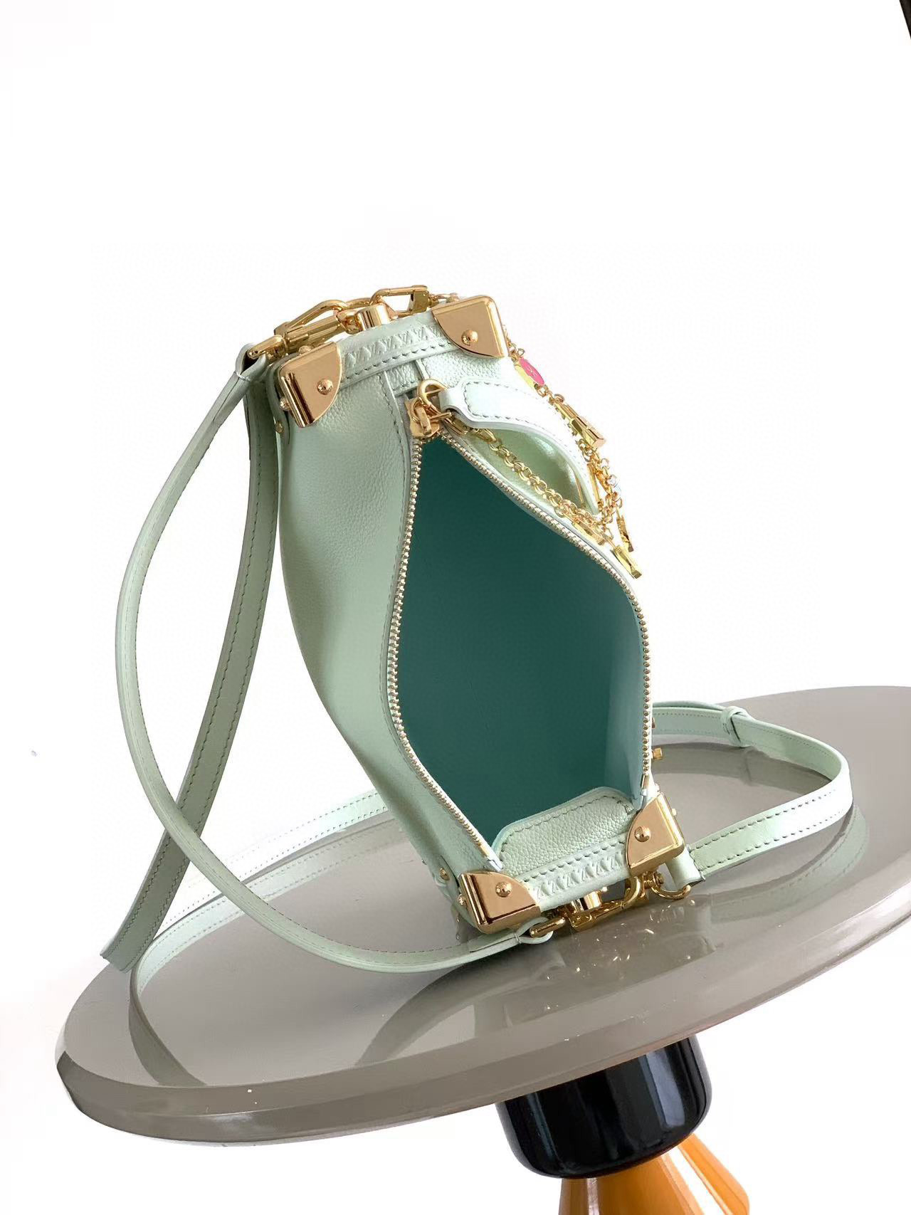 Louis Vuitton Basic Bag Cow Leather M-l-s