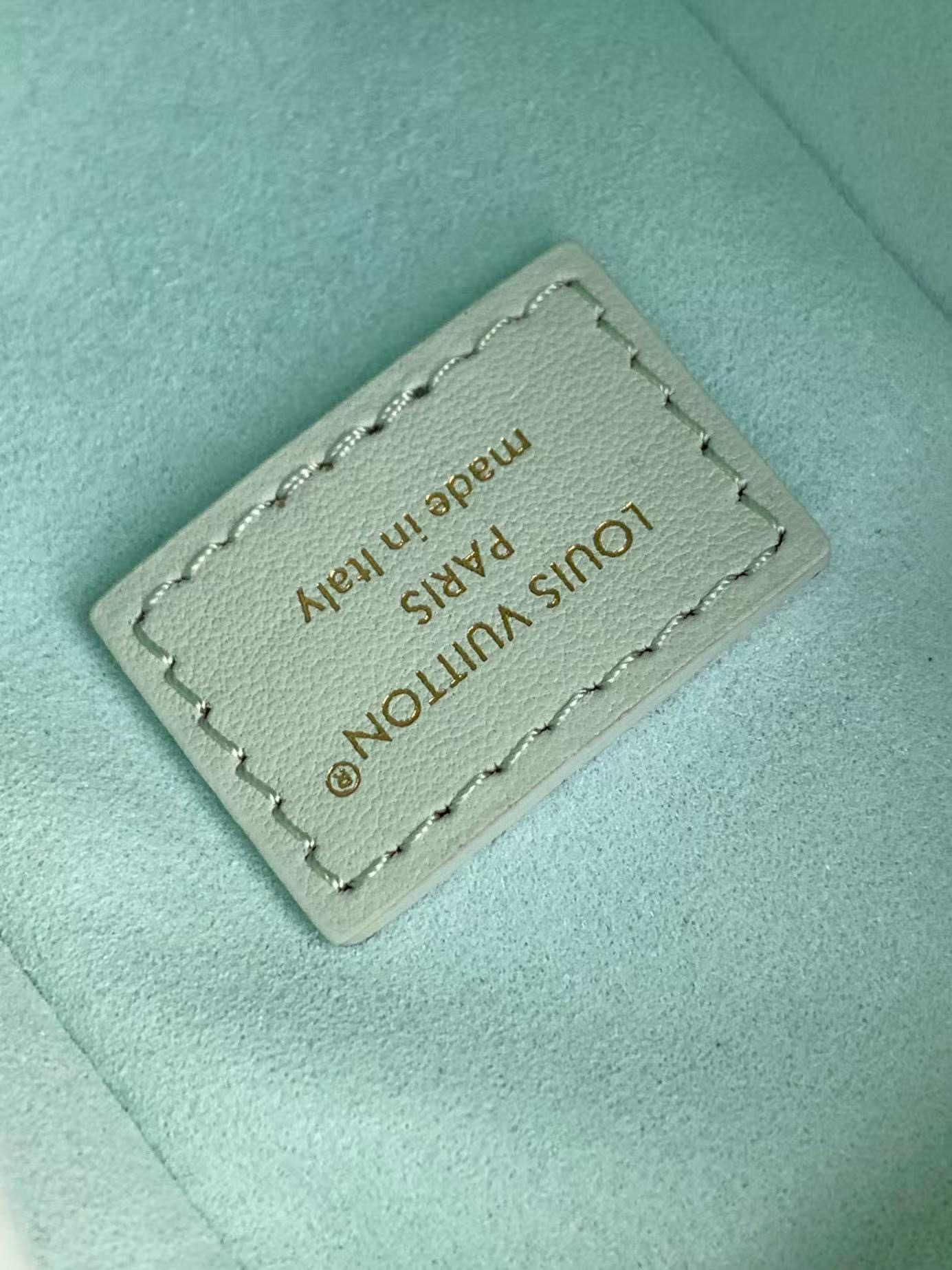 Louis Vuitton Basic Bag Cow Leather M-l-s