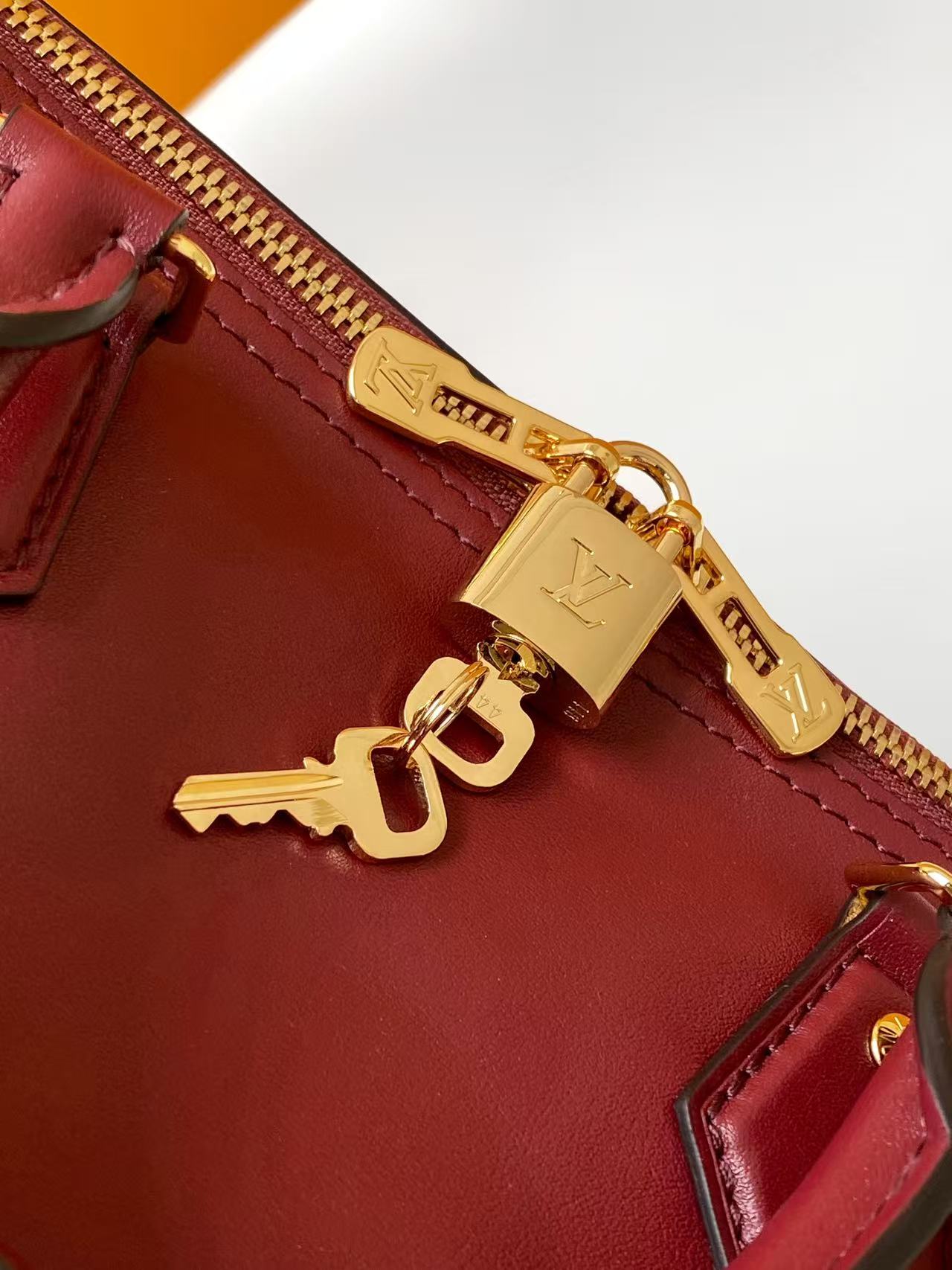 Louis Vuitton Basic Bag Cow Leather M-l-s