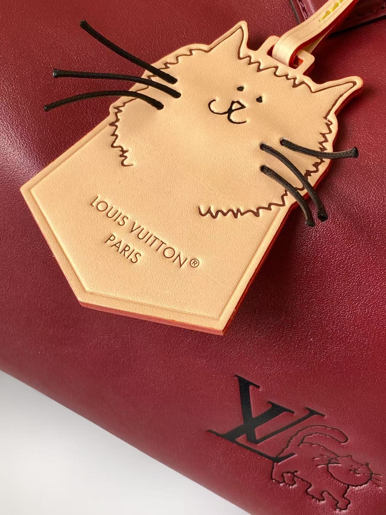 Louis Vuitton Basic Bag Cow Leather M-l-s