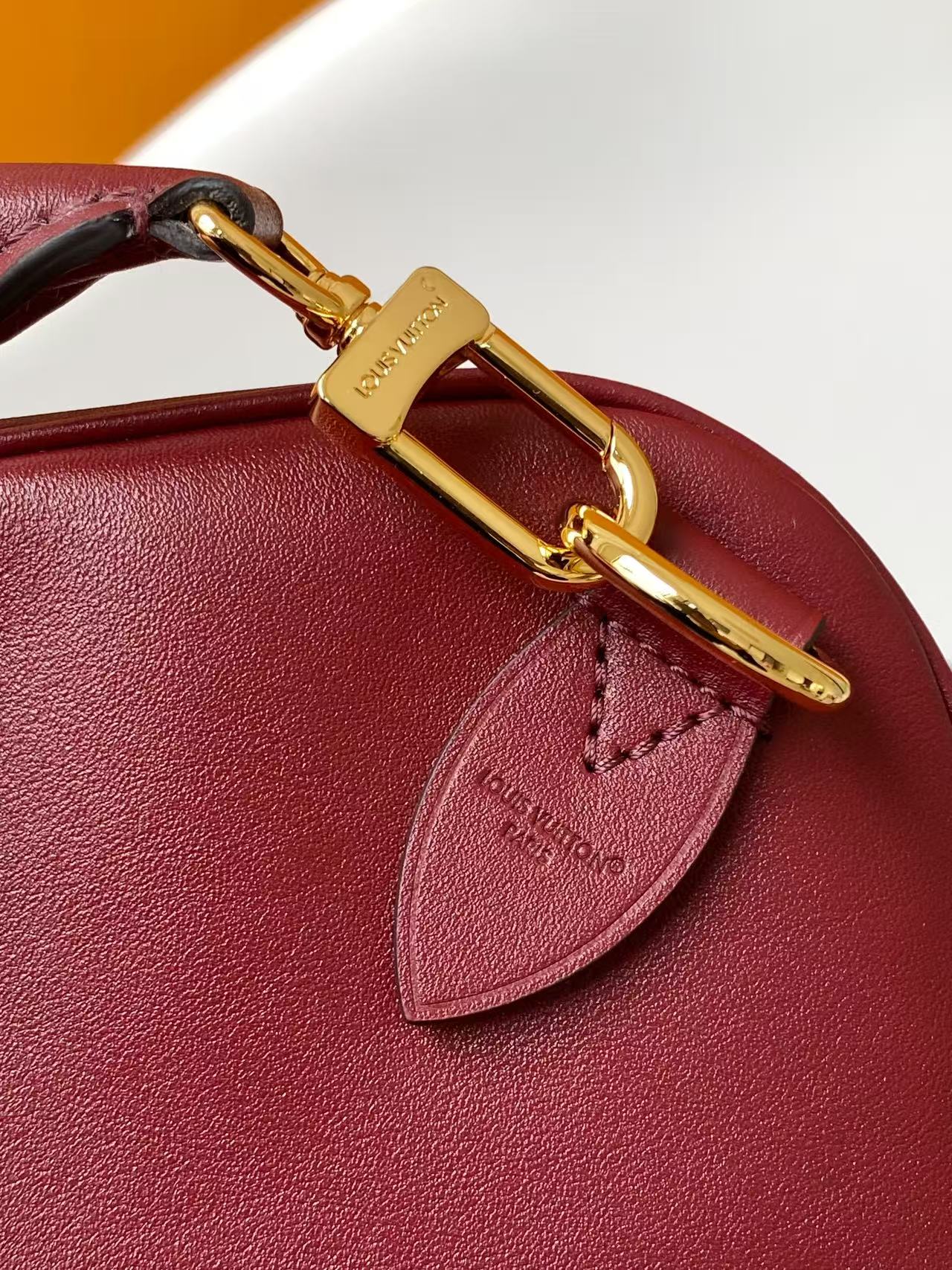 Louis Vuitton Basic Bag Cow Leather M-l-s