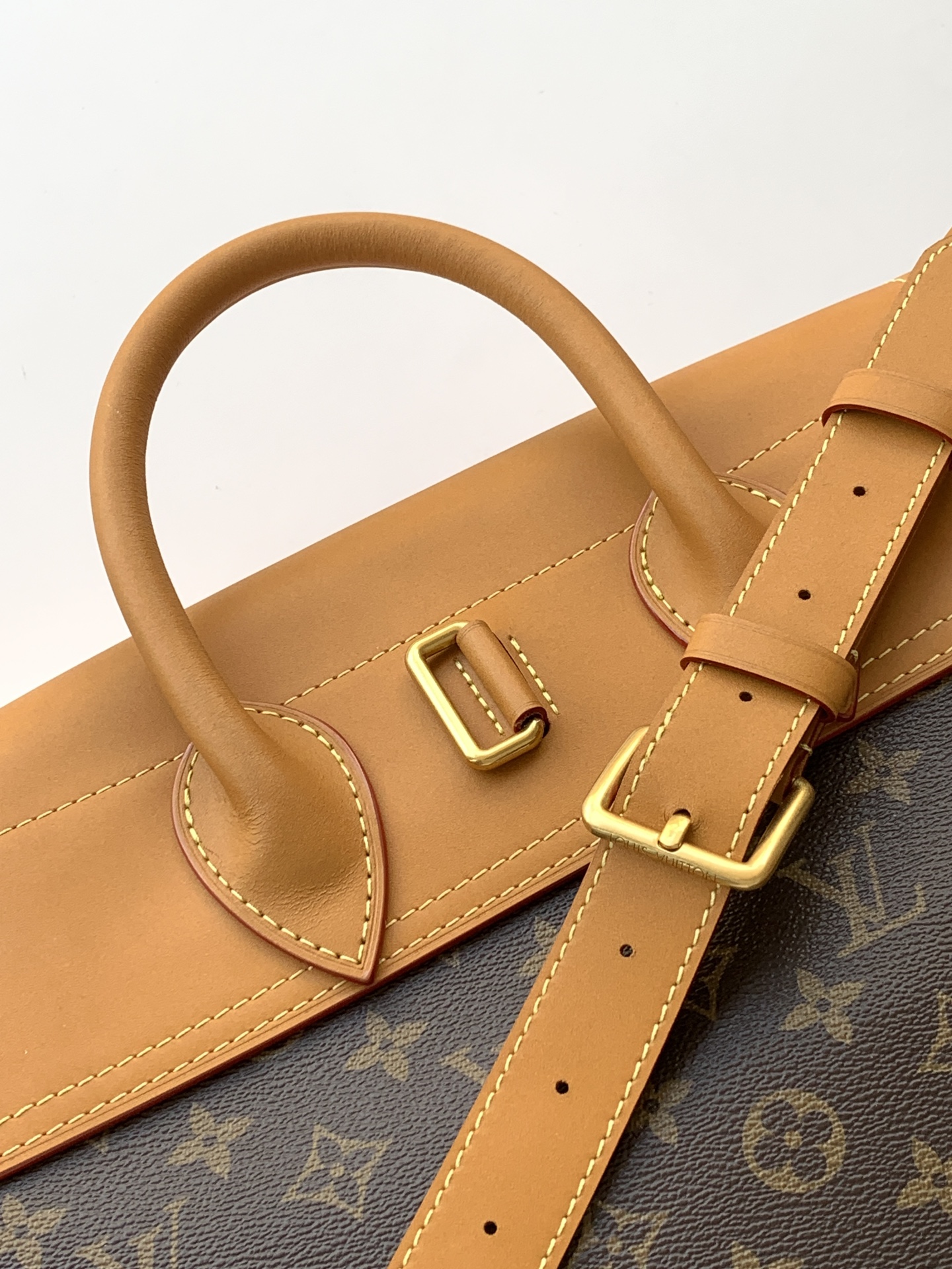 Louis Vuitton Basic Bag Canvas M-l-s