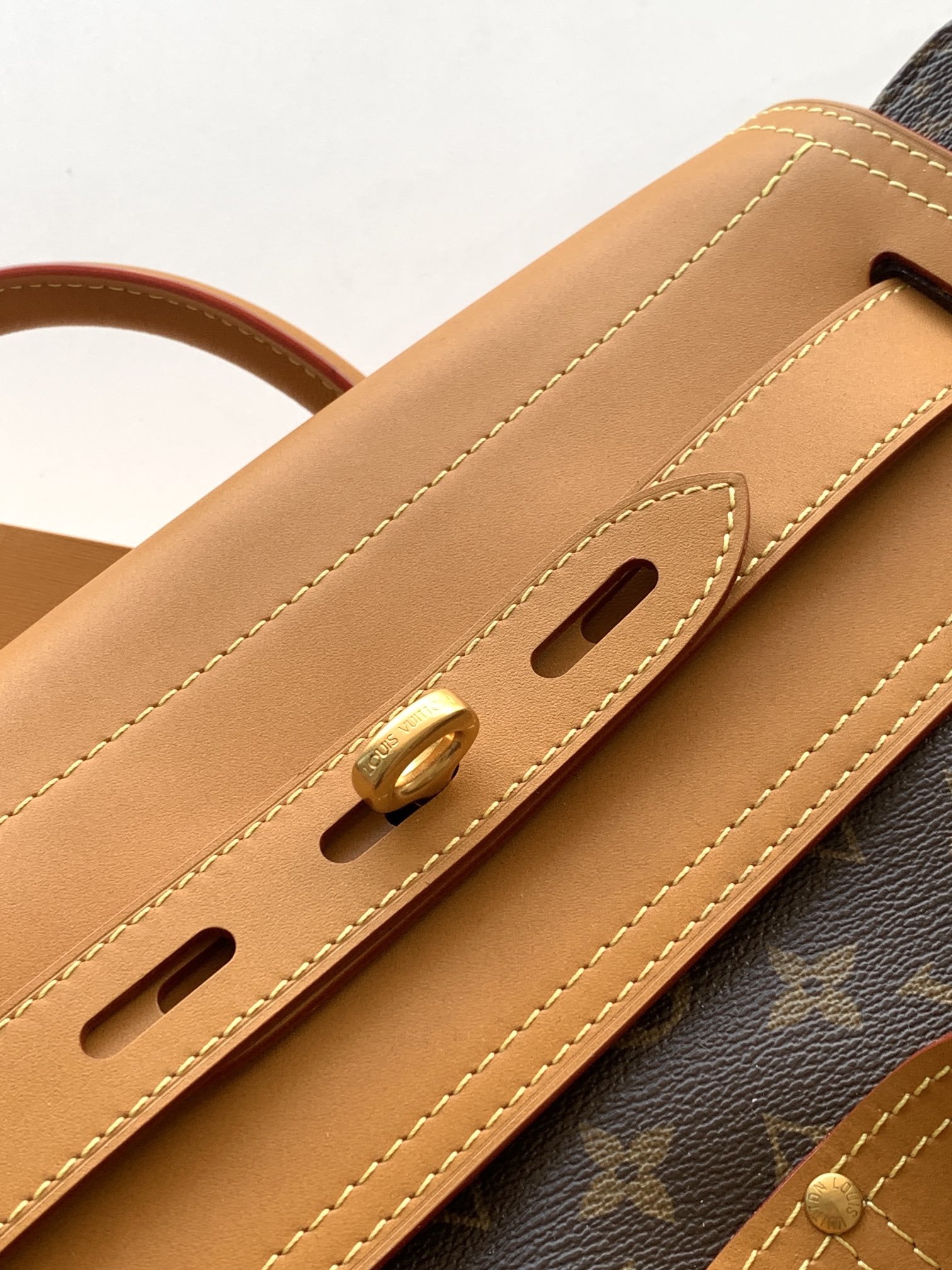 Louis Vuitton Basic Bag Canvas M-l-s