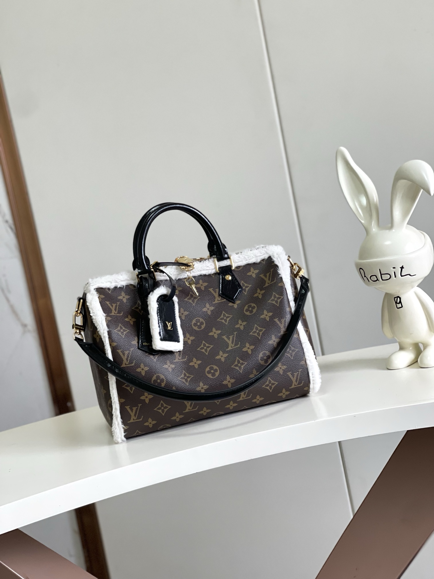 Louis Vuitton Basic Bag Canvas M-s