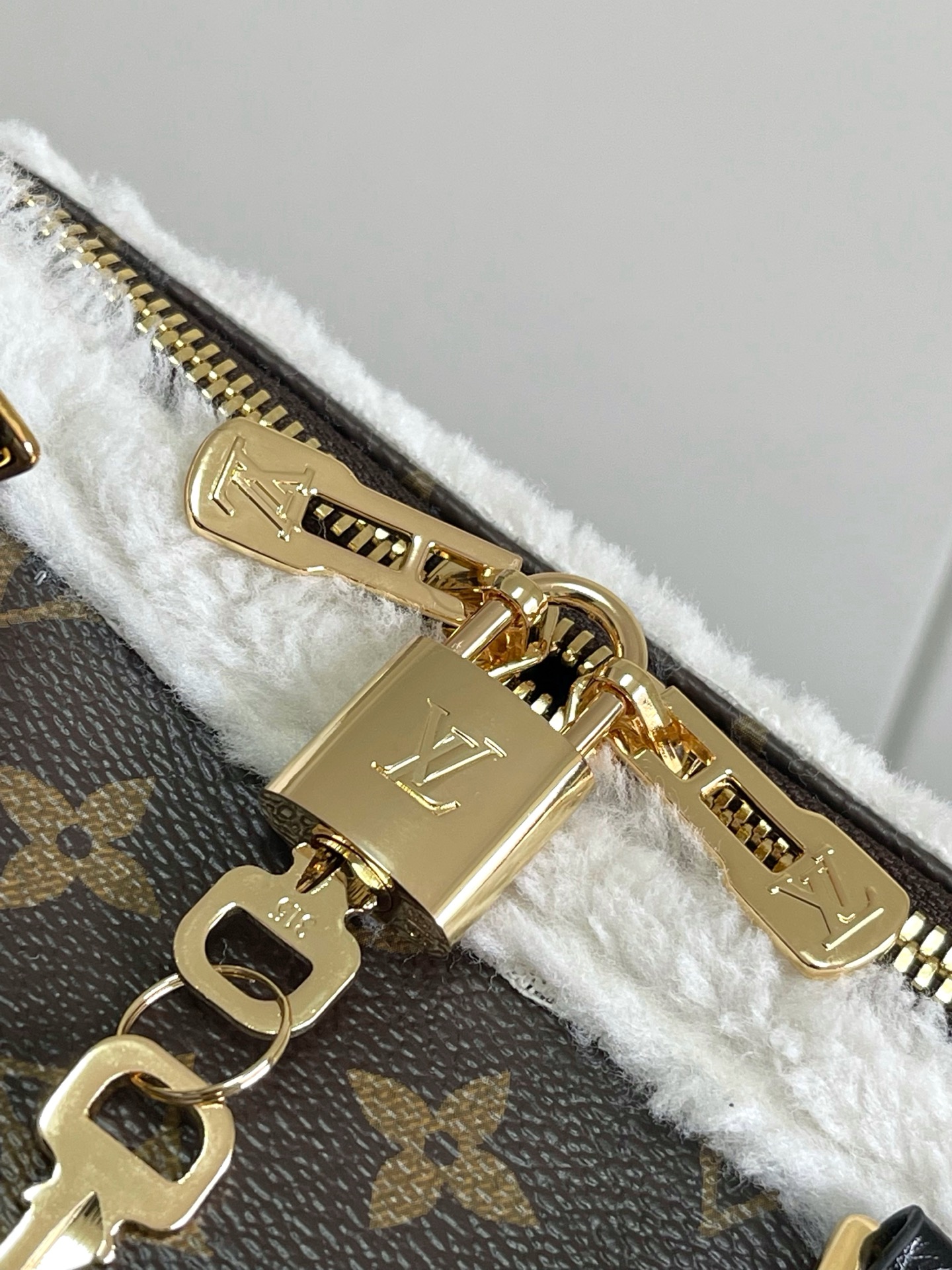 Louis Vuitton Basic Bag Canvas M-s