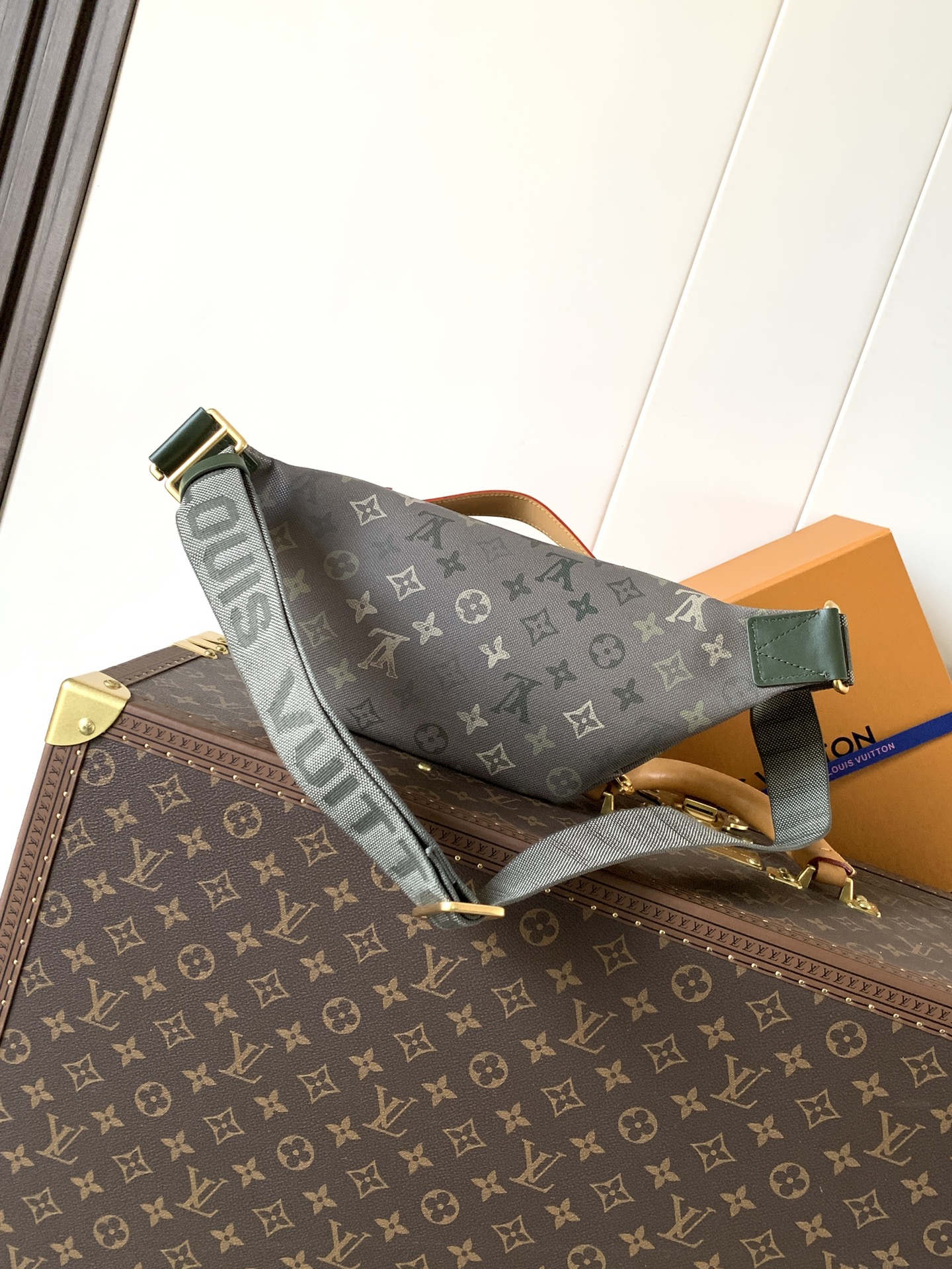 Louis Vuitton Basic Bag Canvas Green M-l-s