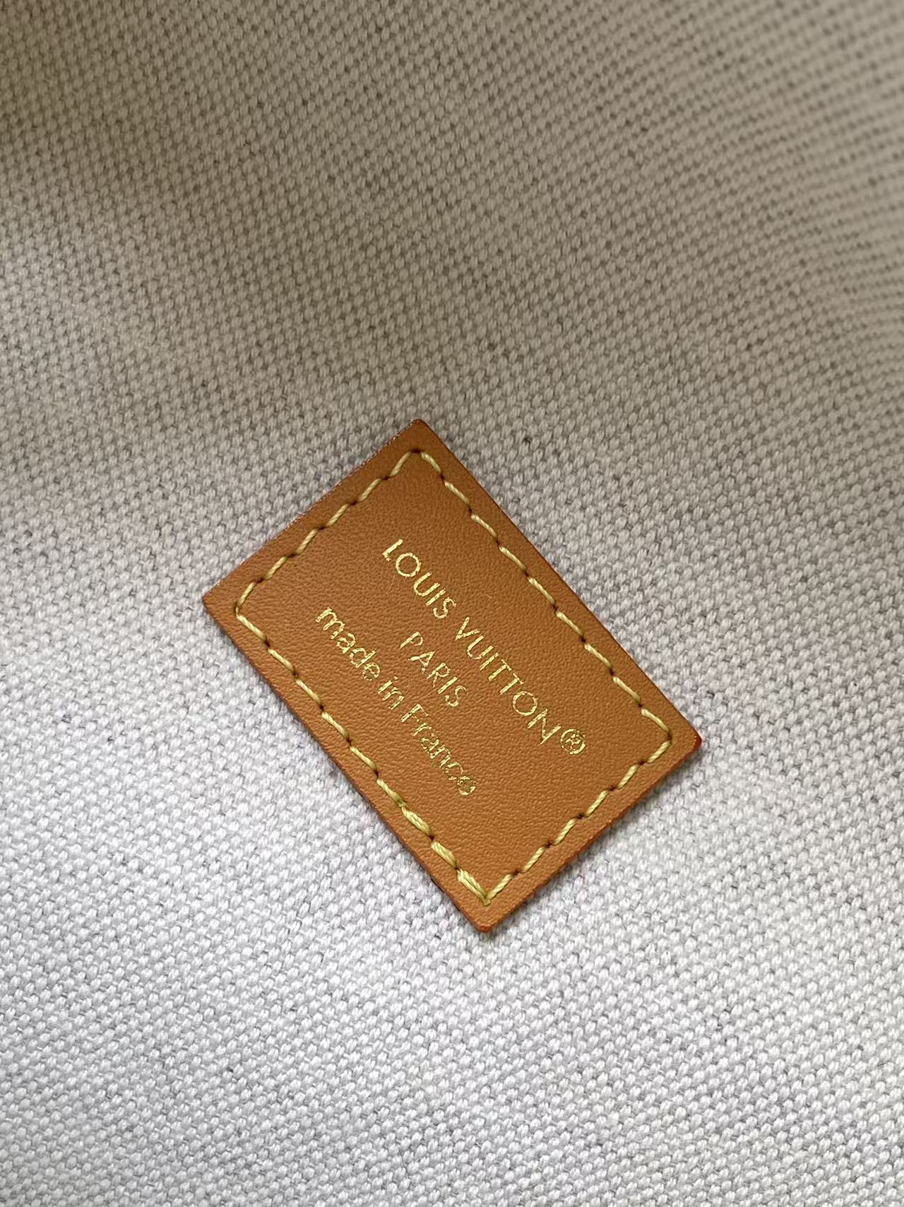 Louis Vuitton Basic Bag Canvas Green M-l-s