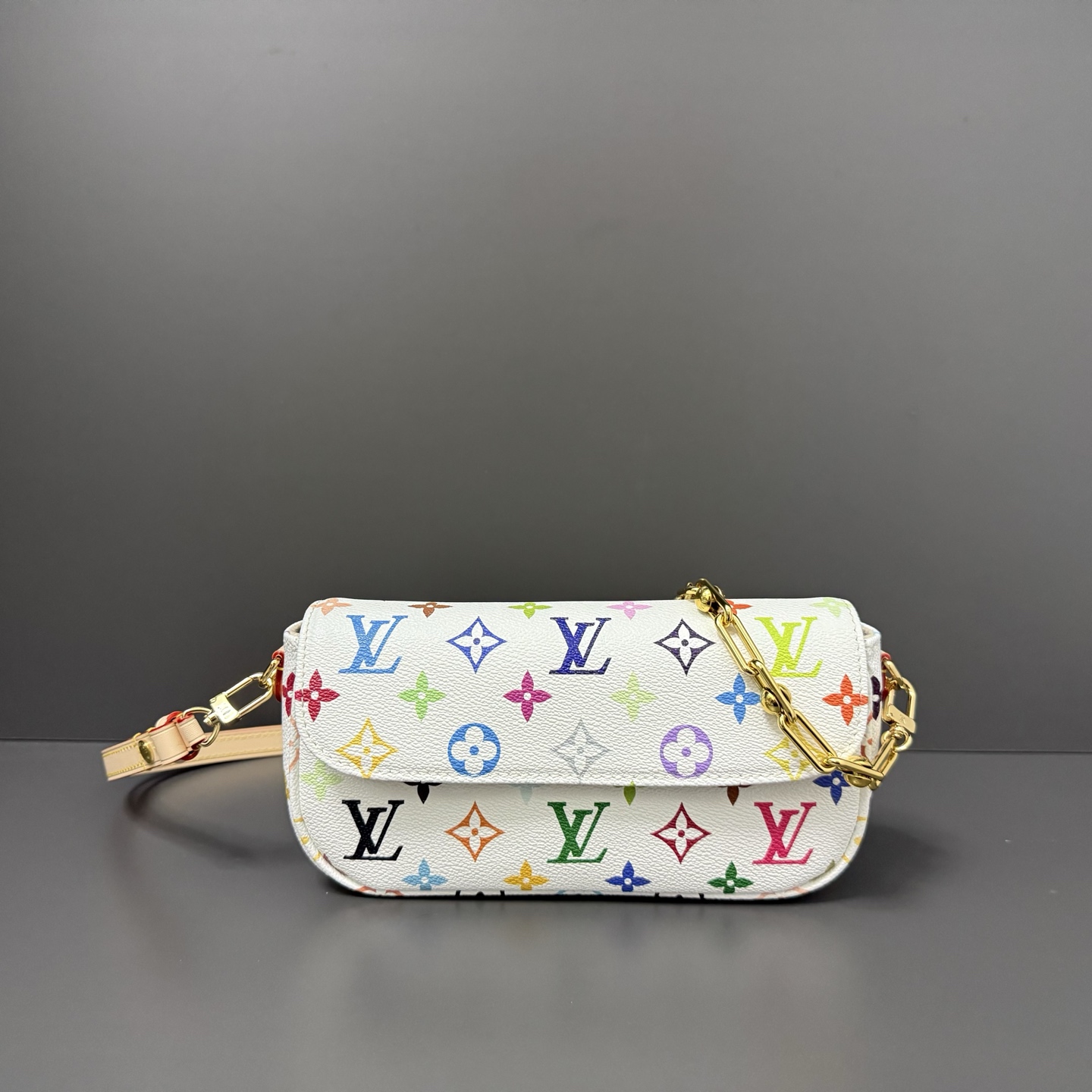 Louis Vuitton Basic Bag Canvas M-l-s
