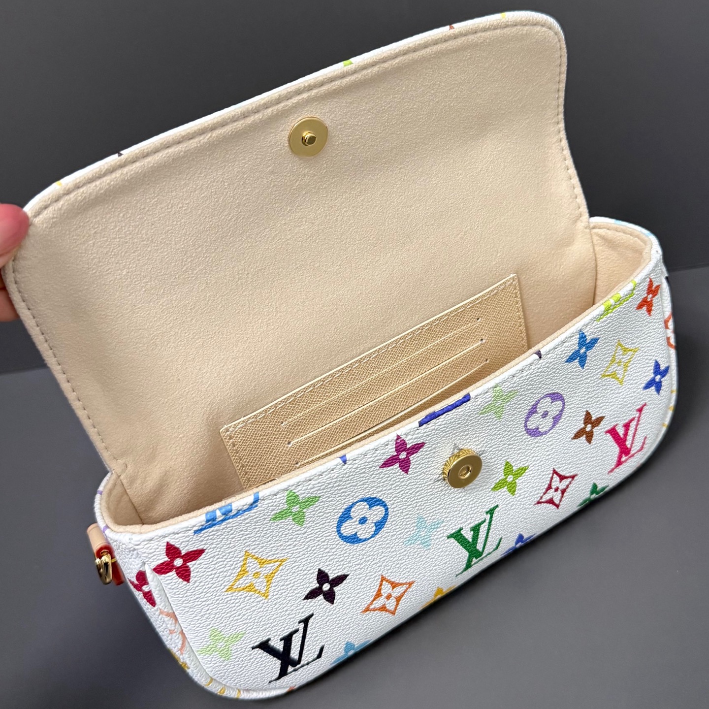 Louis Vuitton Basic Bag Canvas M-l-s