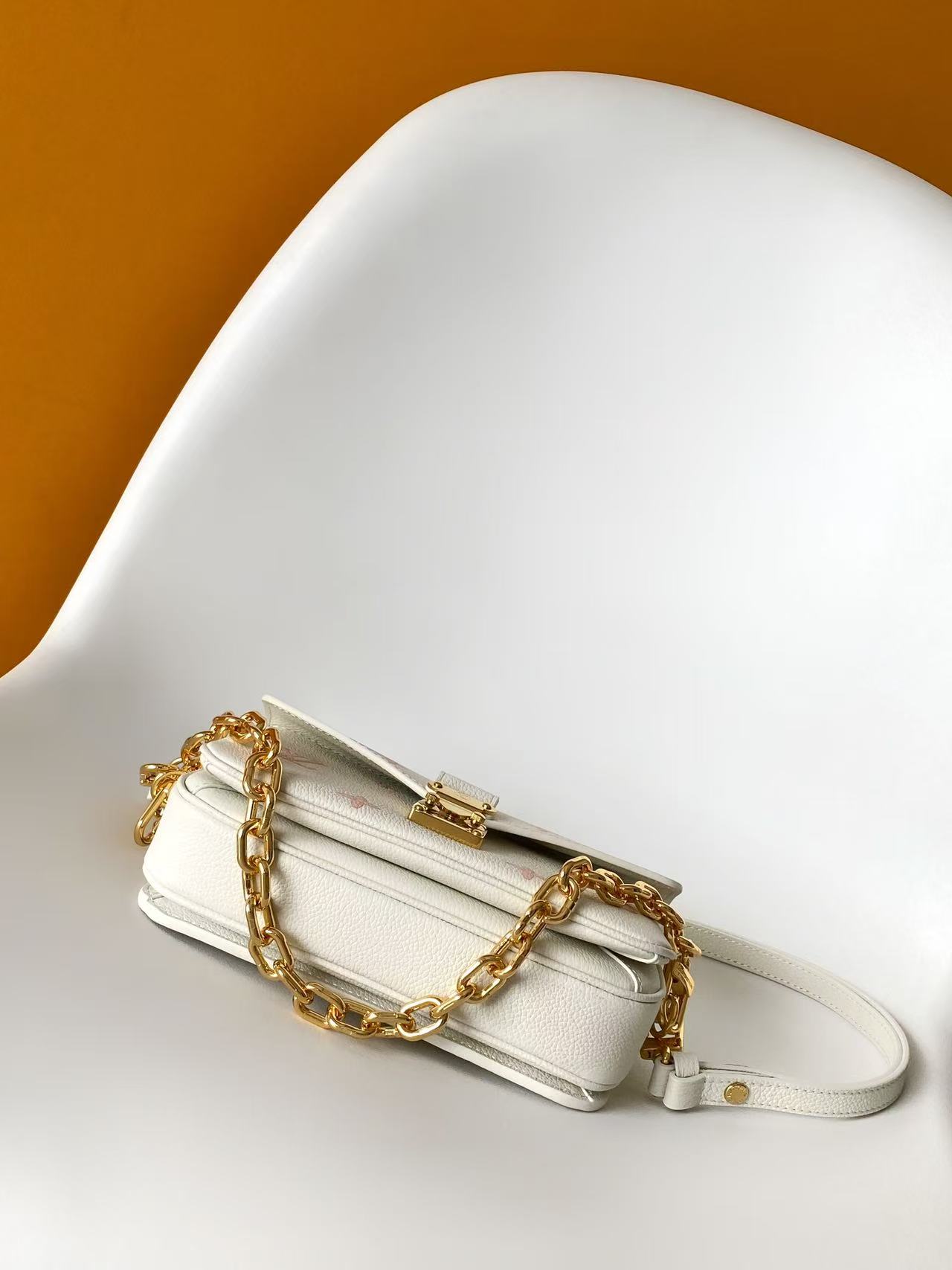 Louis Vuitton Basic Bag M-l-s