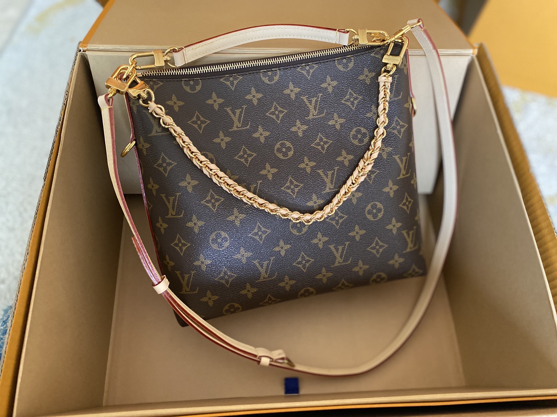 Louis Vuitton Basic Bag Cow Leather M-l-s