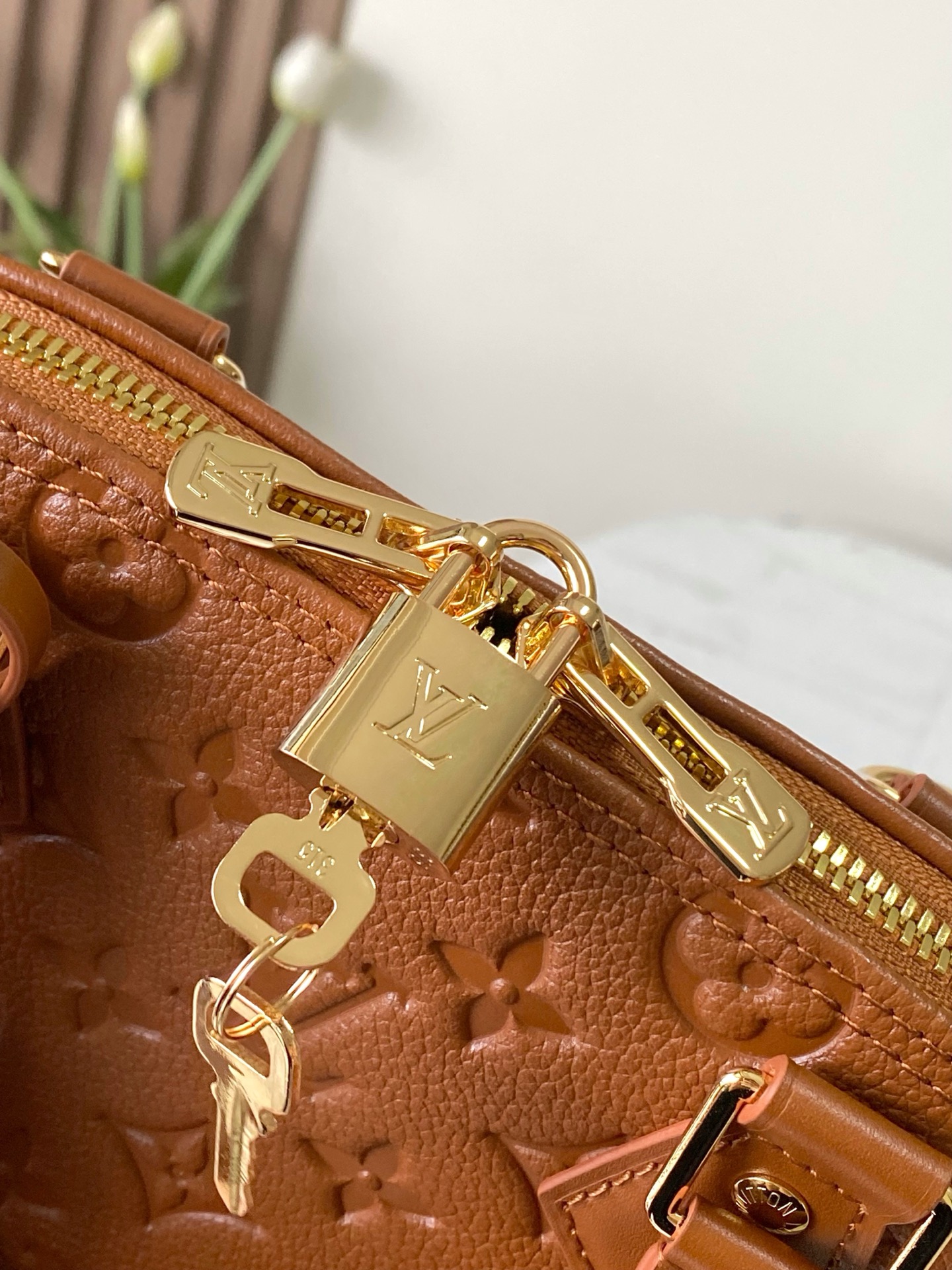 Louis Vuitton Basic Bag Brown M