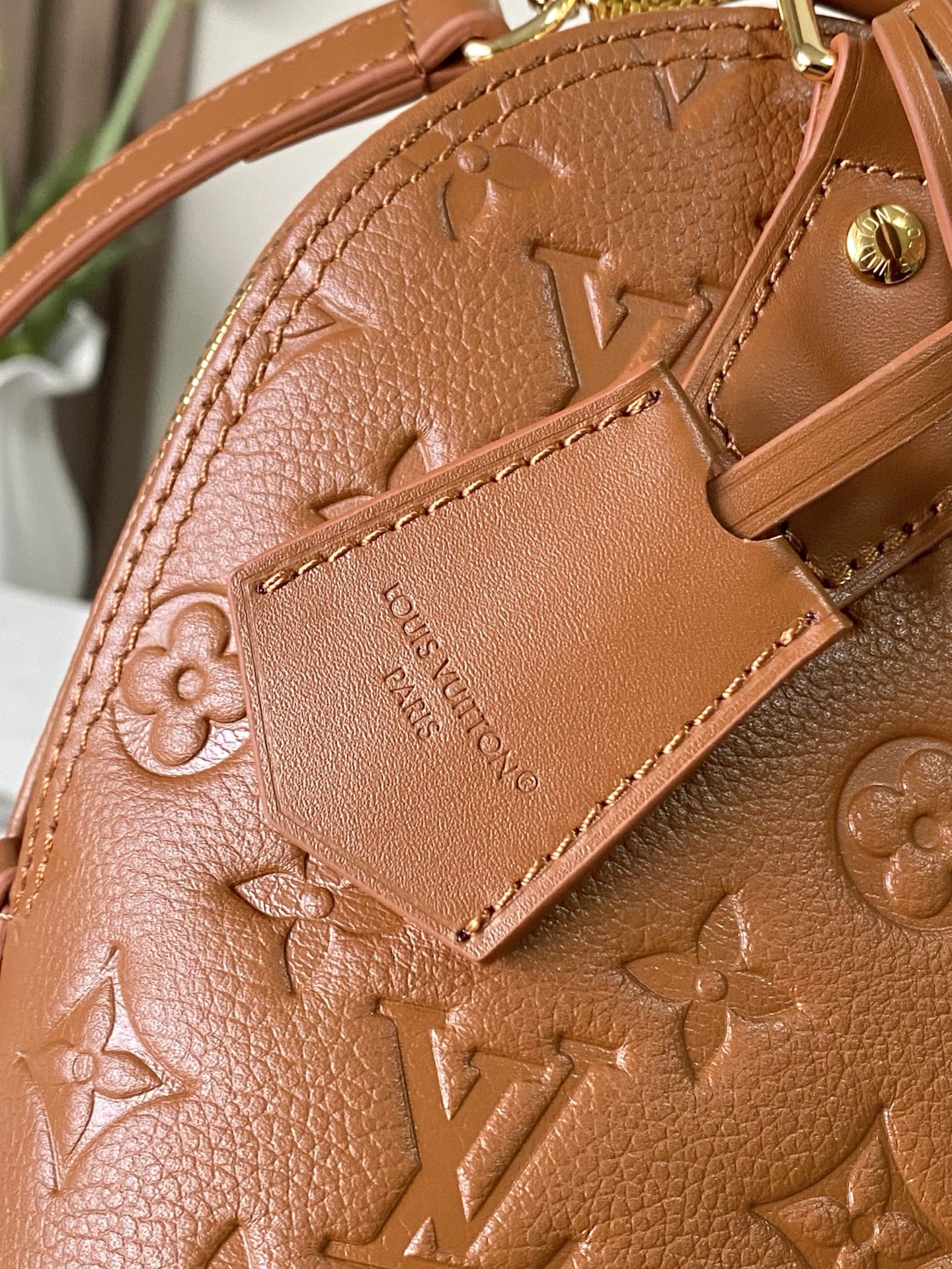 Louis Vuitton Basic Bag Brown M