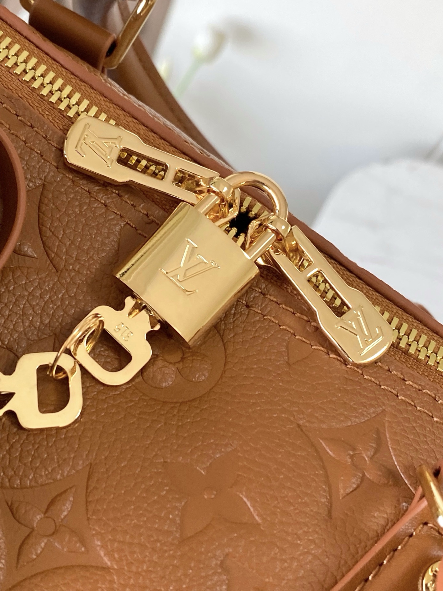 Louis Vuitton Basic Bag M