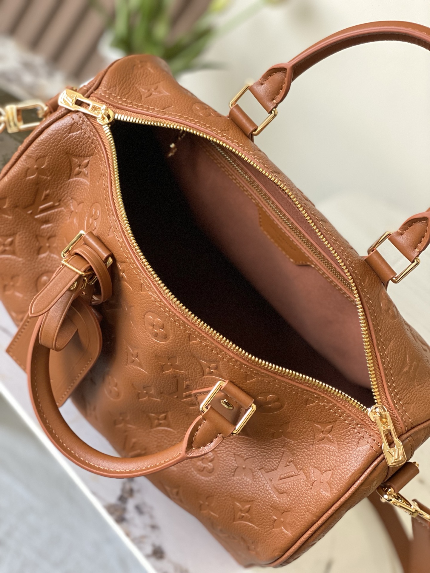 Louis Vuitton Basic Bag M