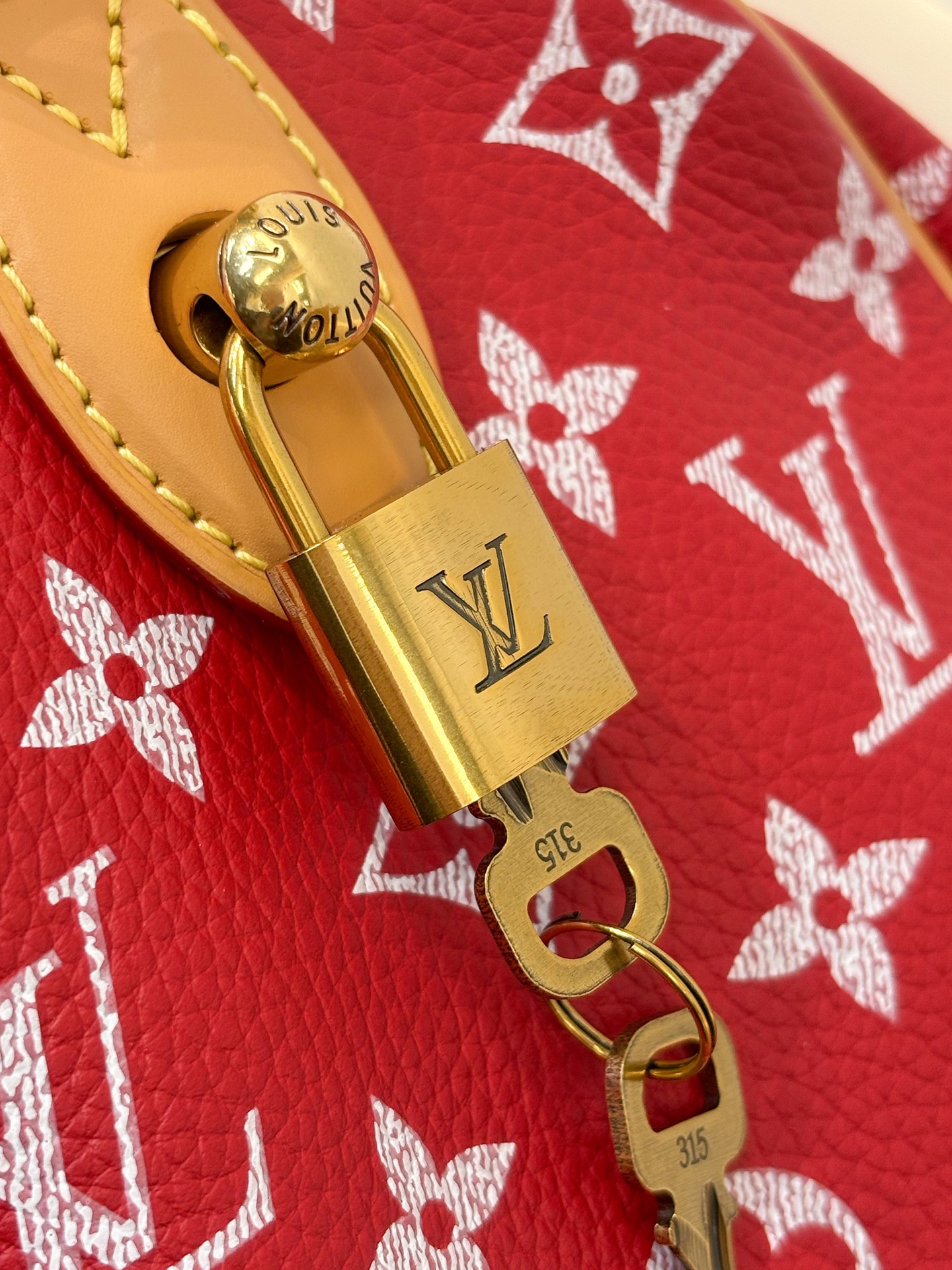 Louis Vuitton Basic Bag Cow Leather 18cm-m-l-s