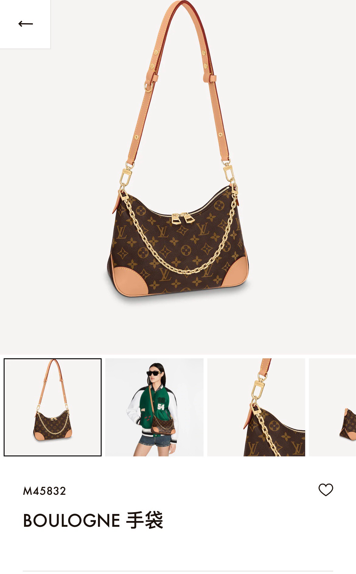 Louis Vuitton Basic Bag Canvas M