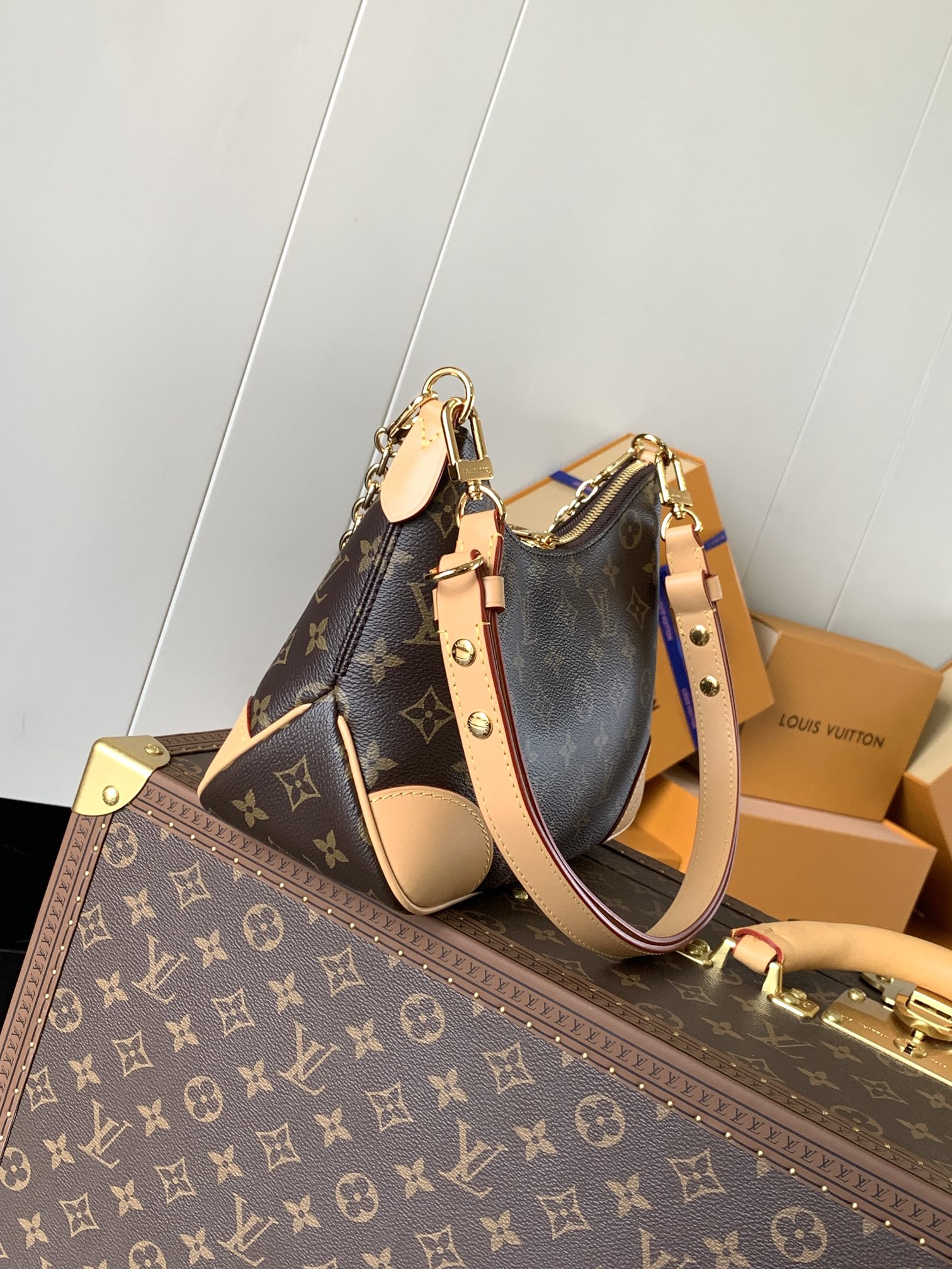 Louis Vuitton Basic Bag Canvas M