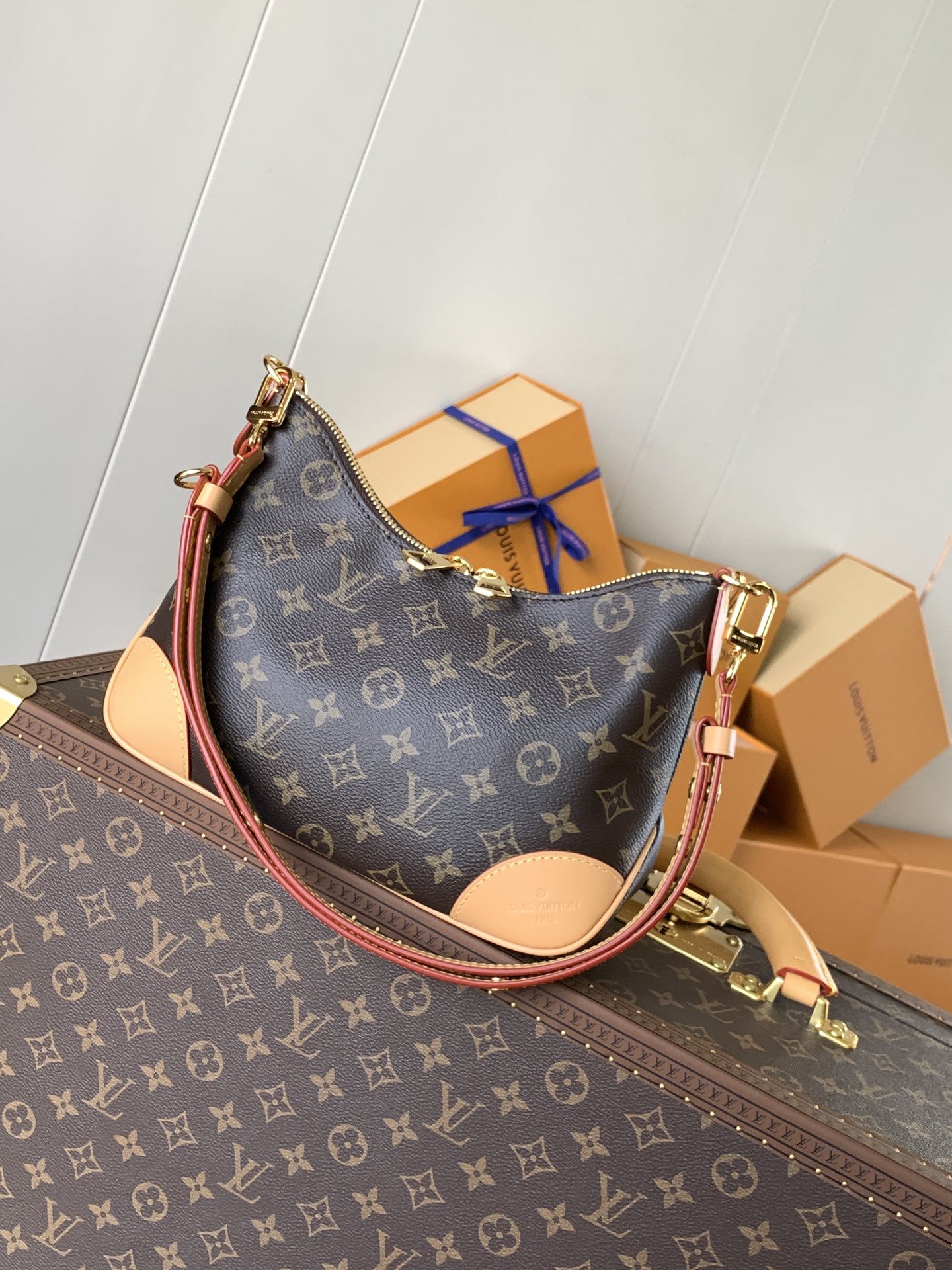 Louis Vuitton Basic Bag Canvas M