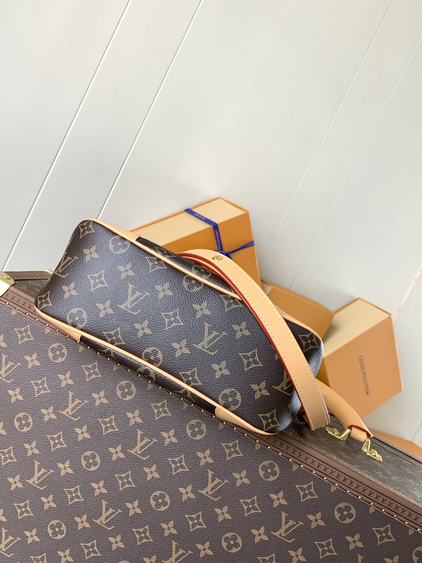 Louis Vuitton Basic Bag Canvas M