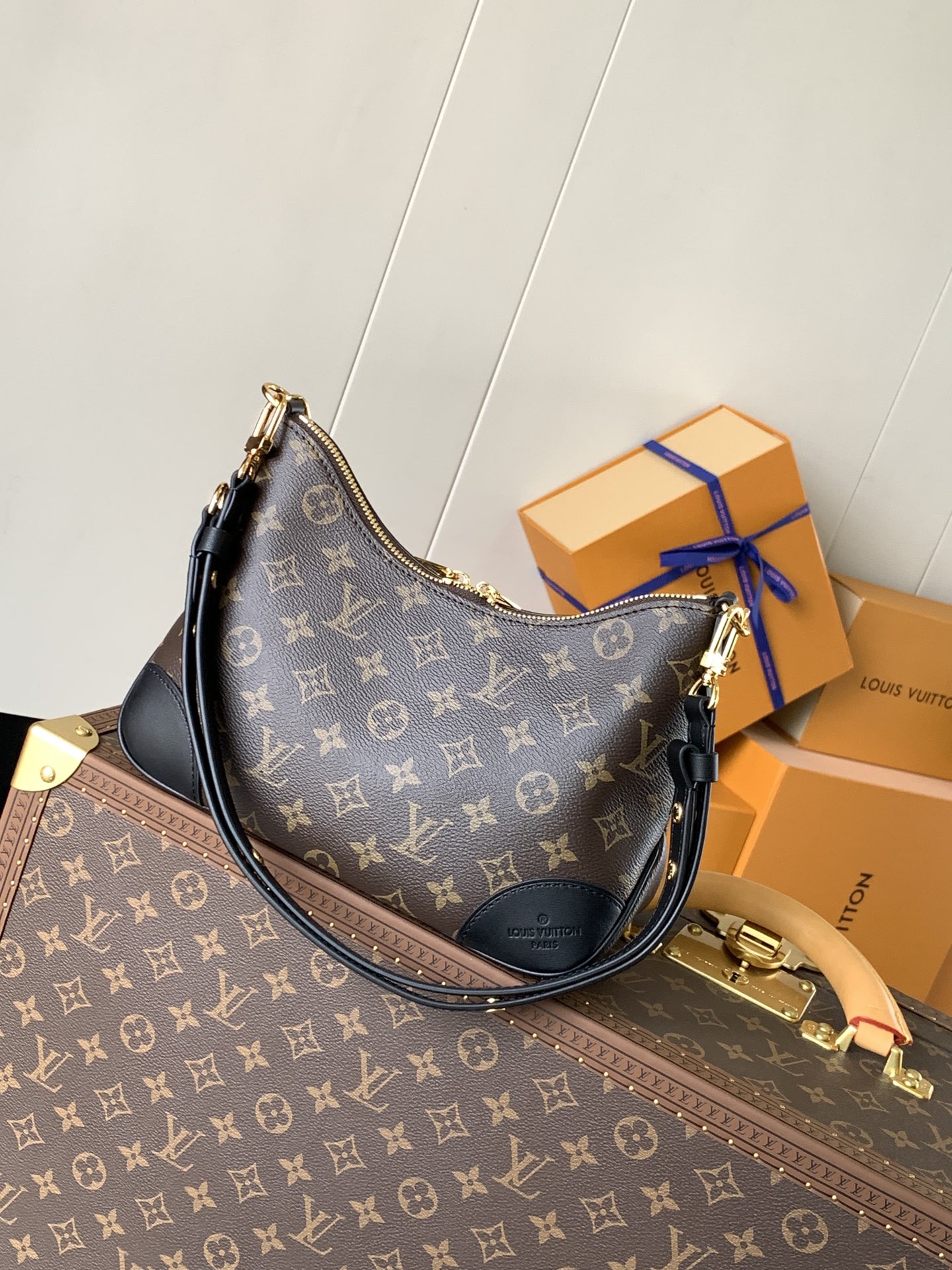 Louis Vuitton Basic Bag Canvas M