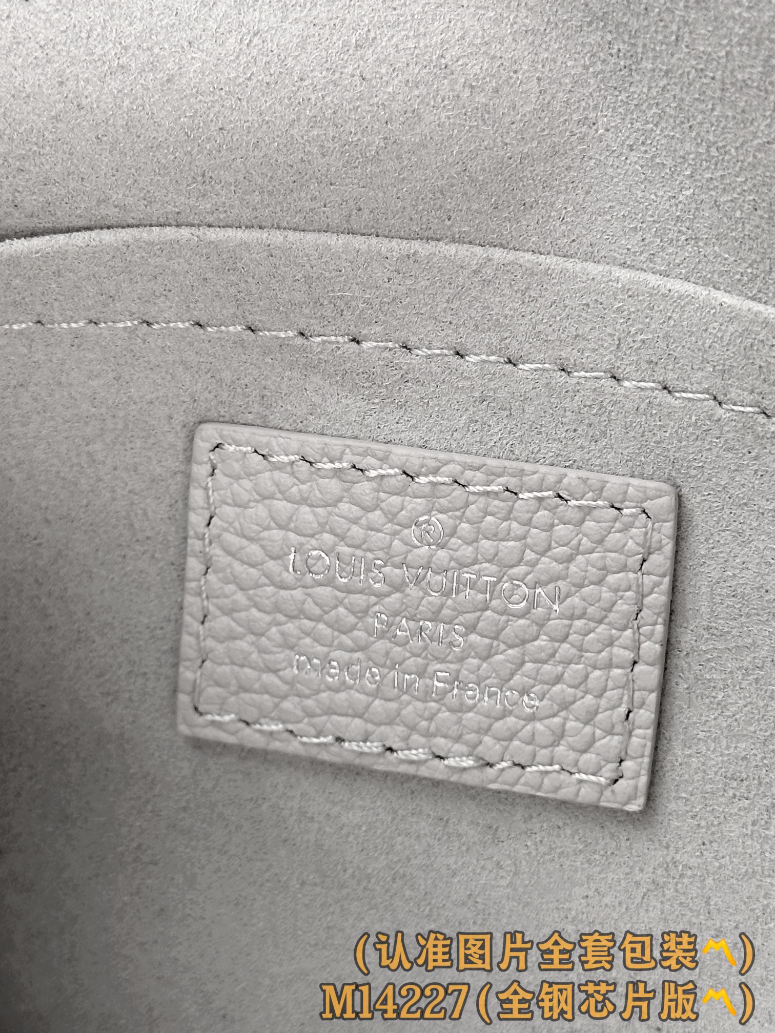 Louis Vuitton Basic Bag M-l