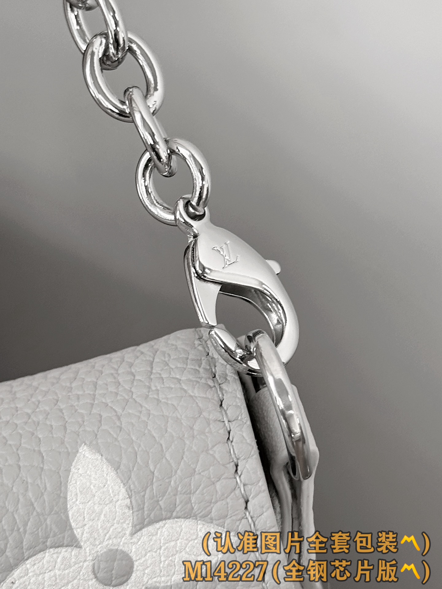 Louis Vuitton Basic Bag M-l