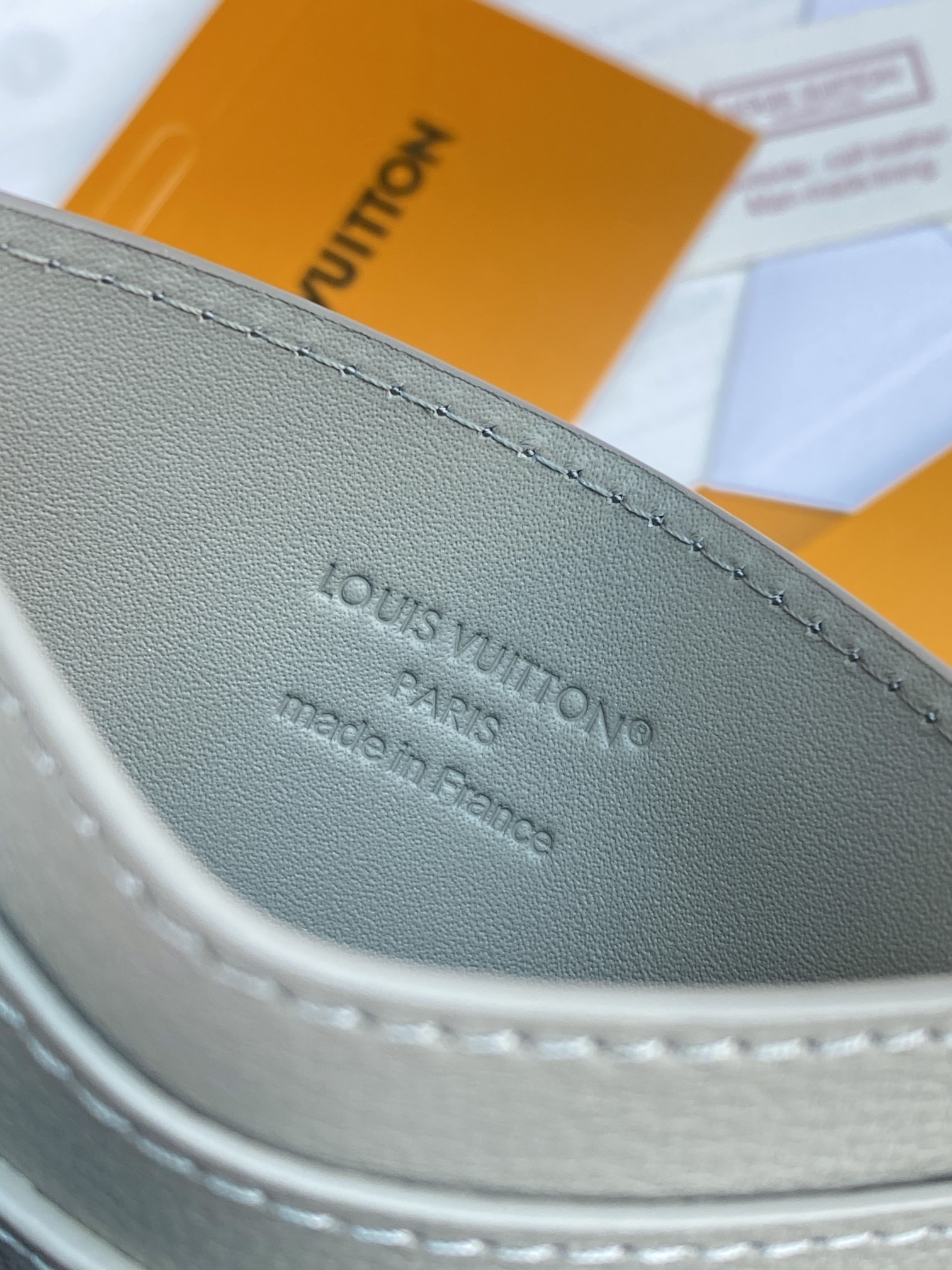 Louis Vuitton Basic Bag Cow Leather M-l-s