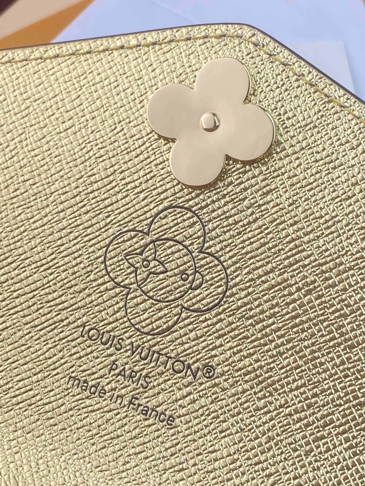 Louis Vuitton Basic Bag Cow Leather M-l-s